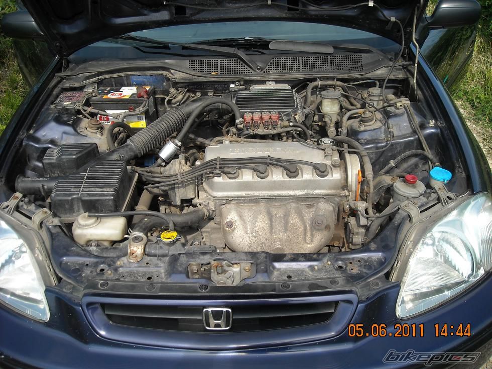 Photo 2219765