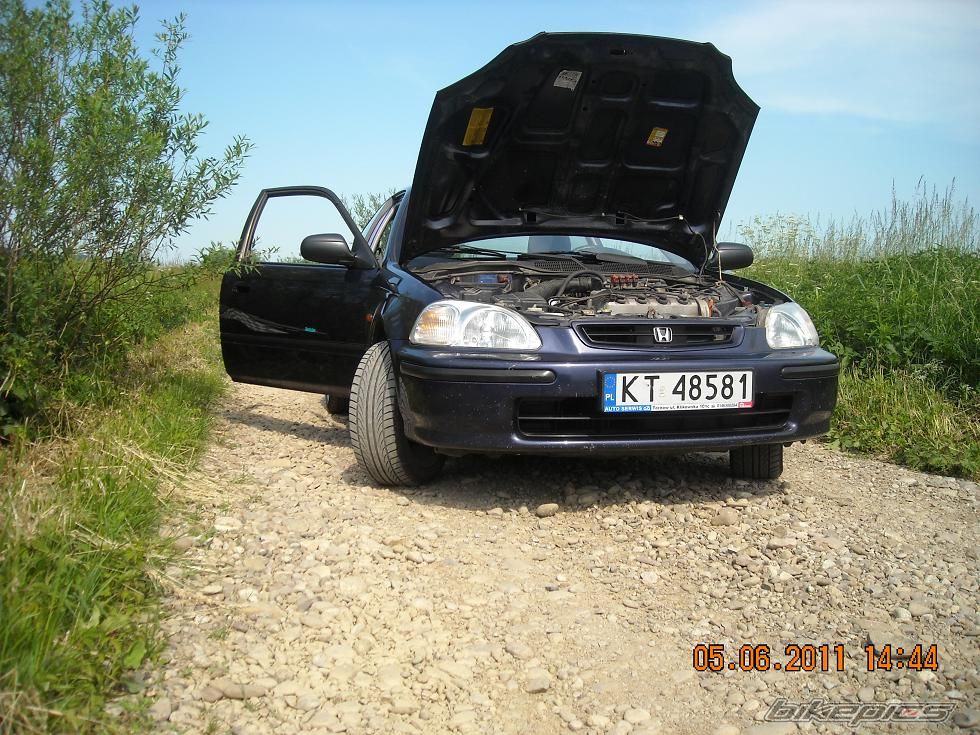 Photo 2219767