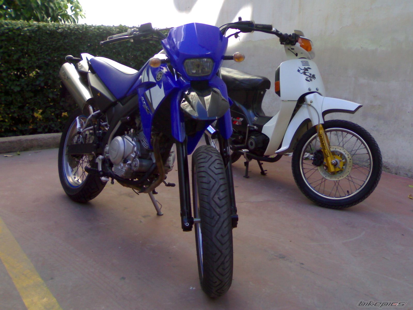 Photo 2219903