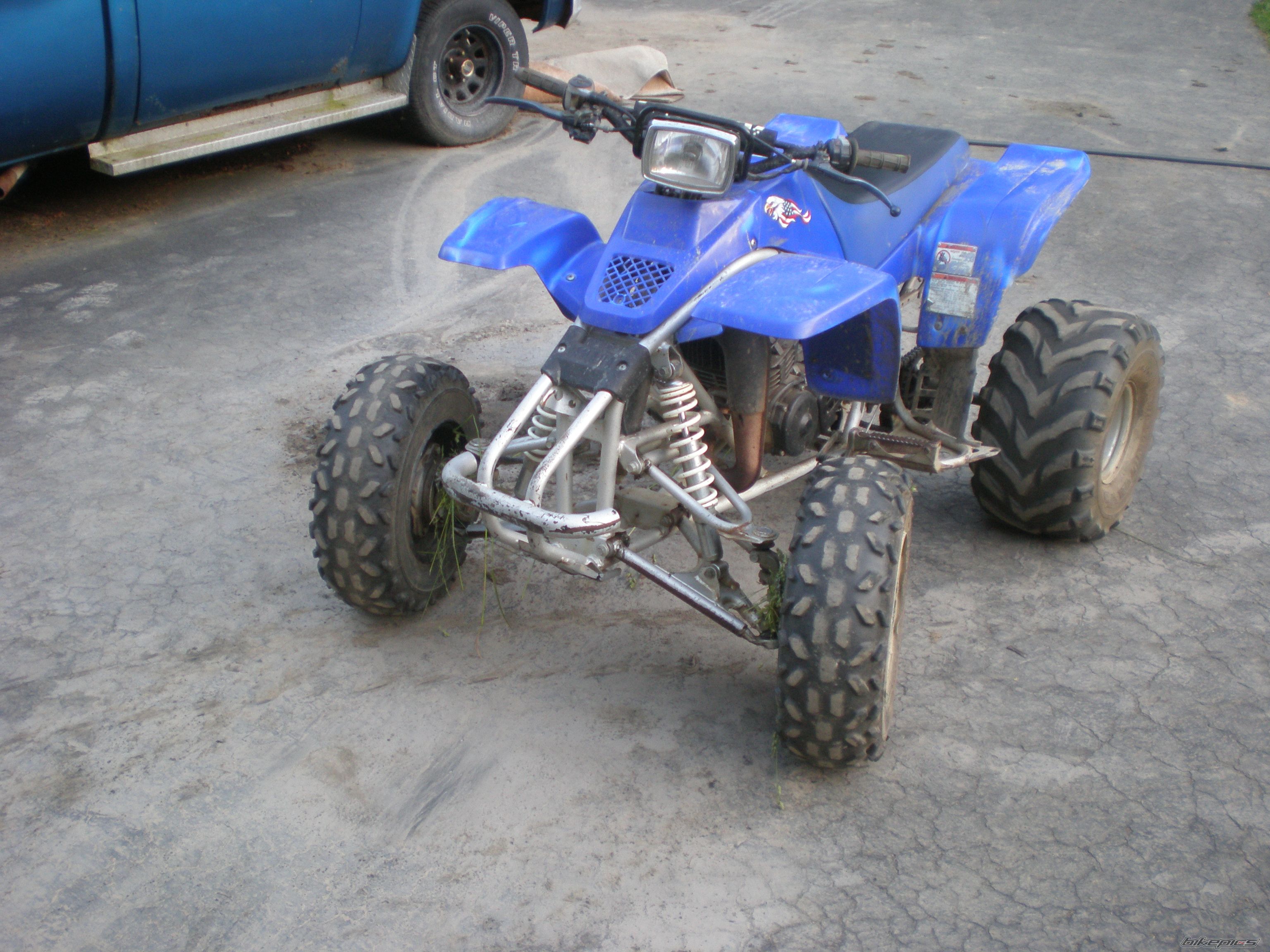 Photo 2220033