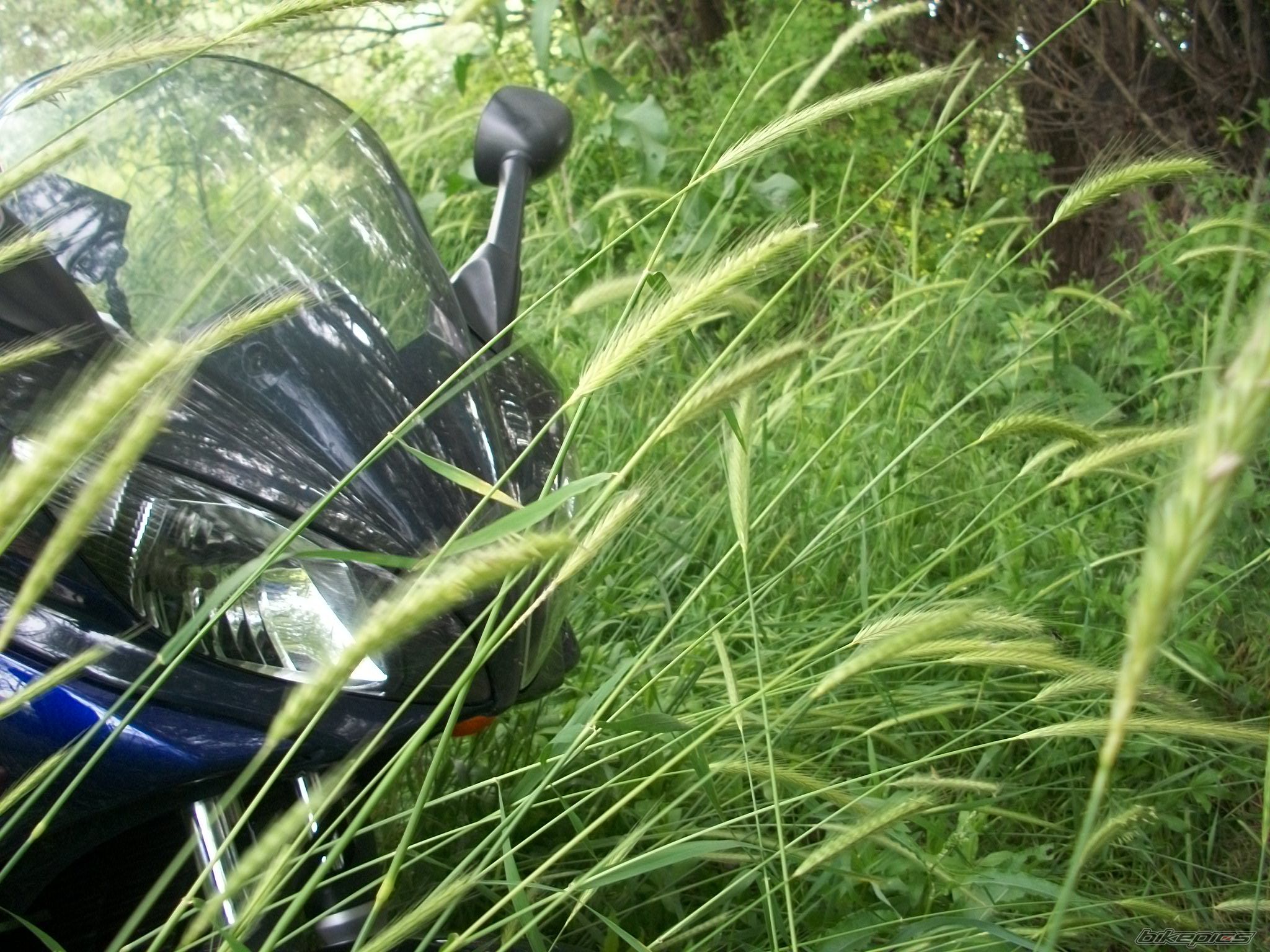Photo 2220234