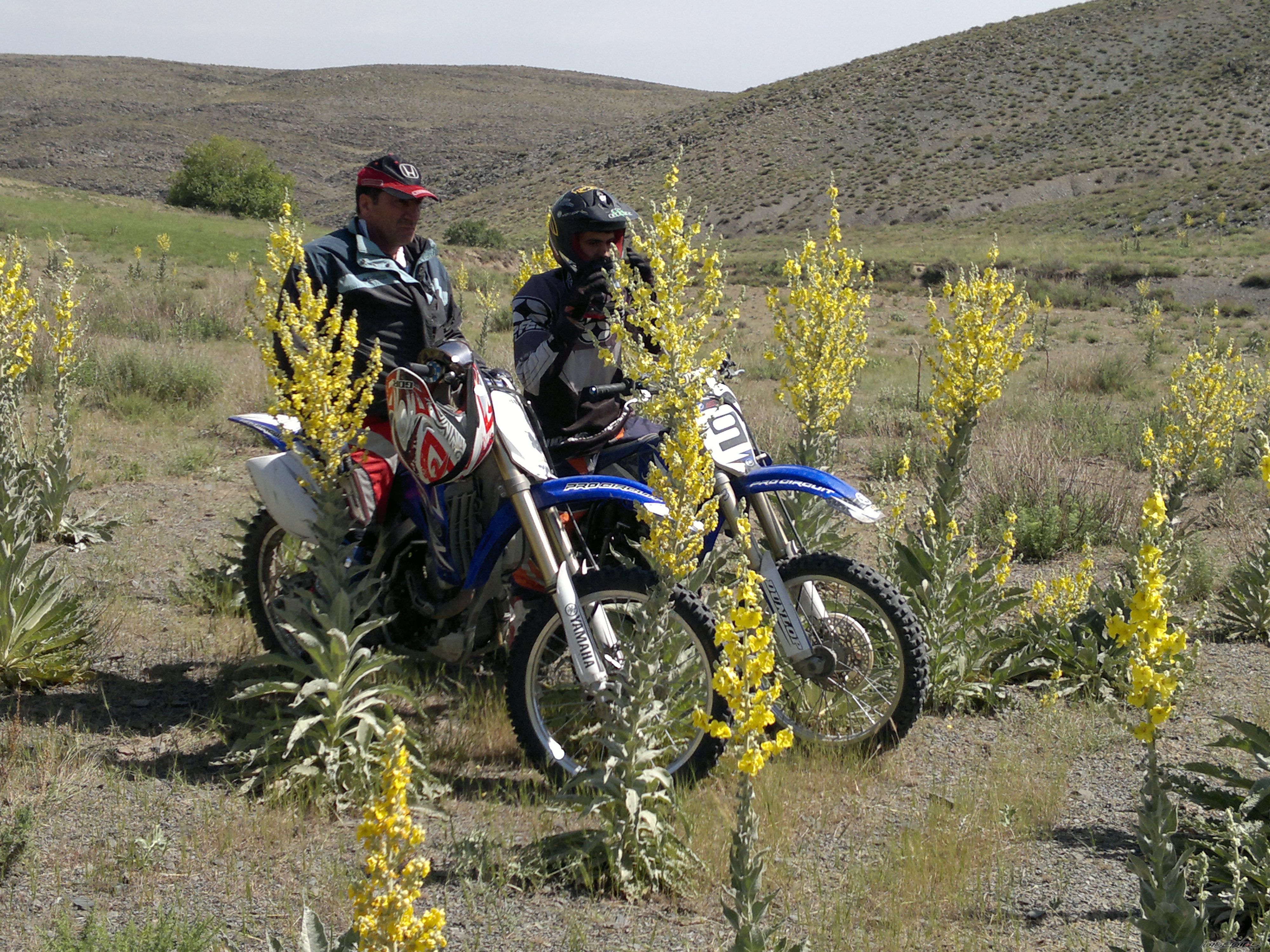 Photo 2220438
