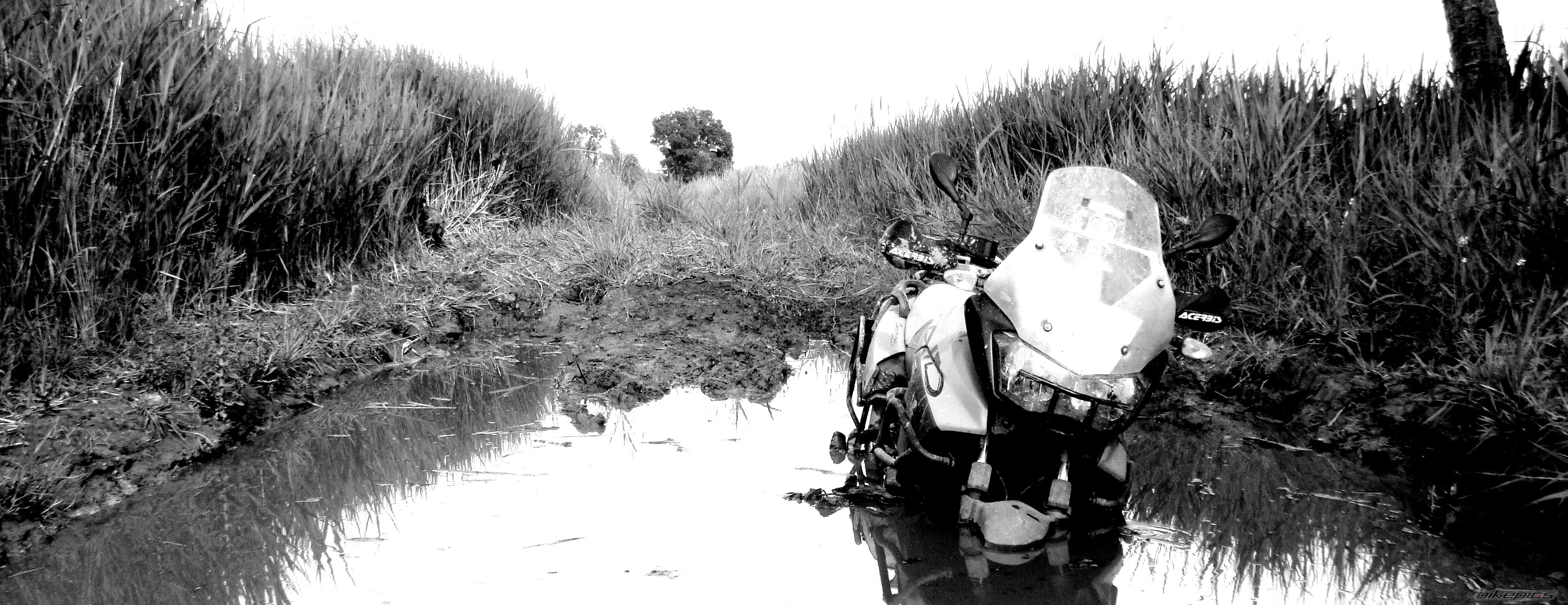 Photo 2220737