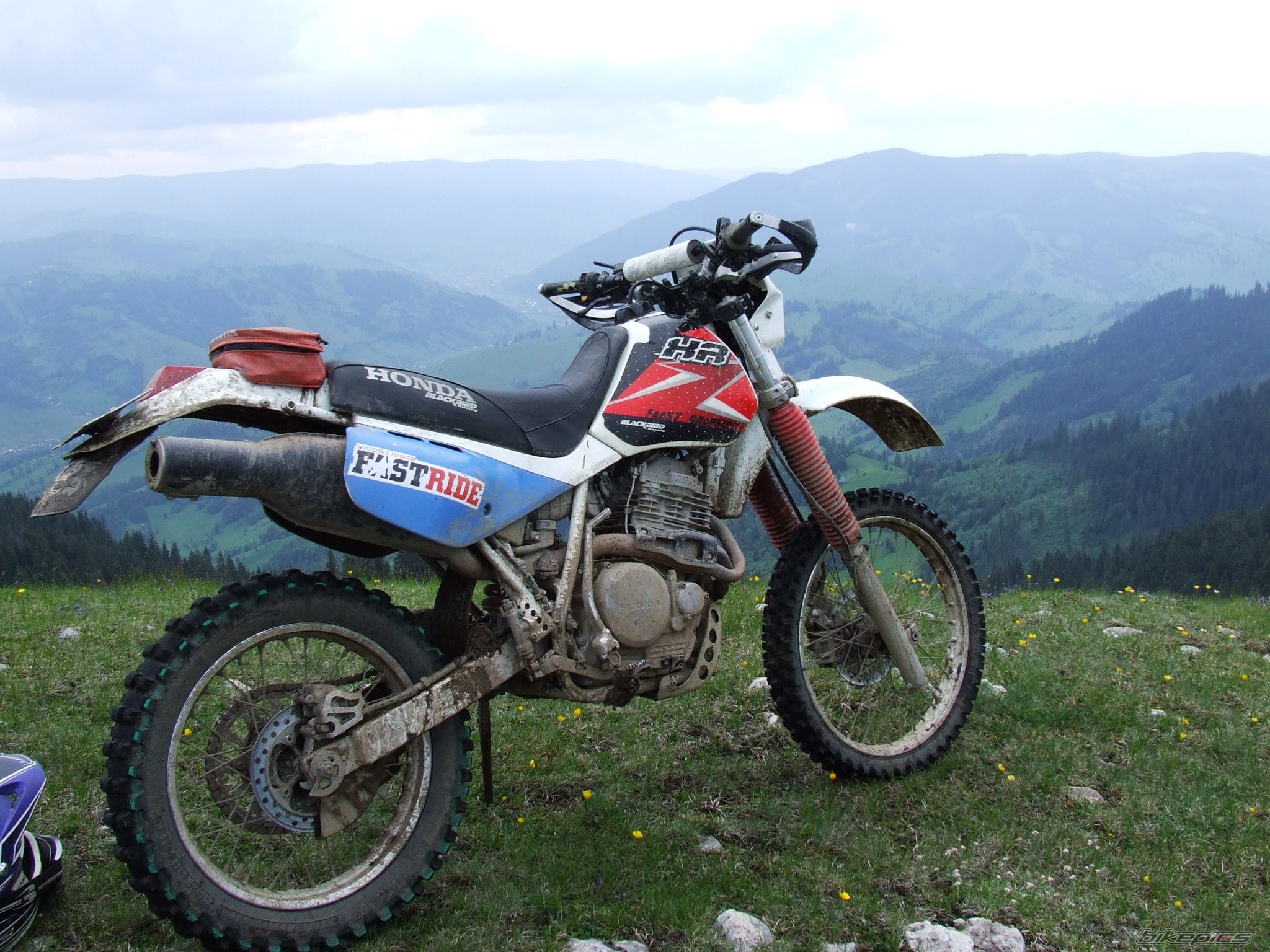 Bike Photo 2220835