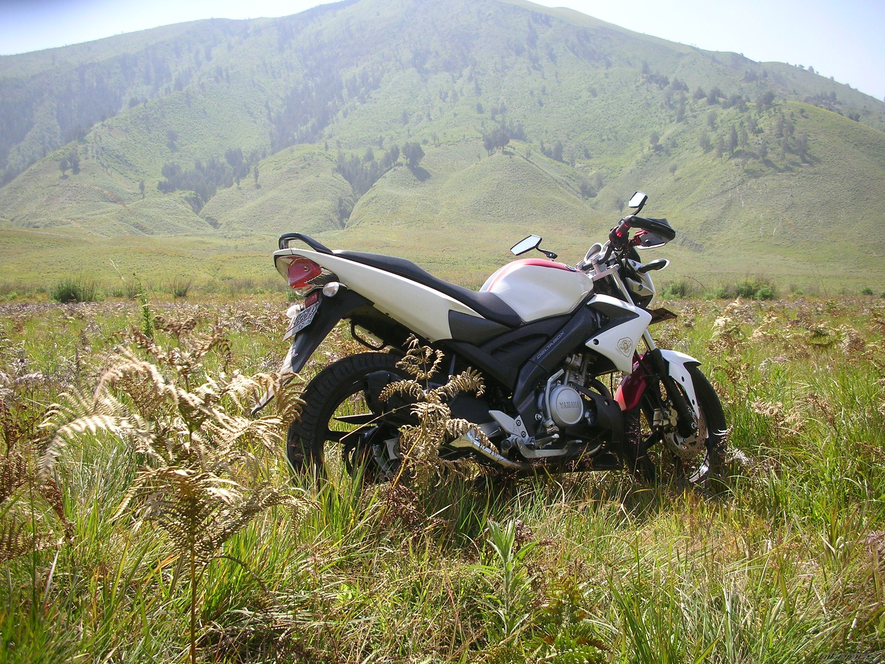 Photo 2220865