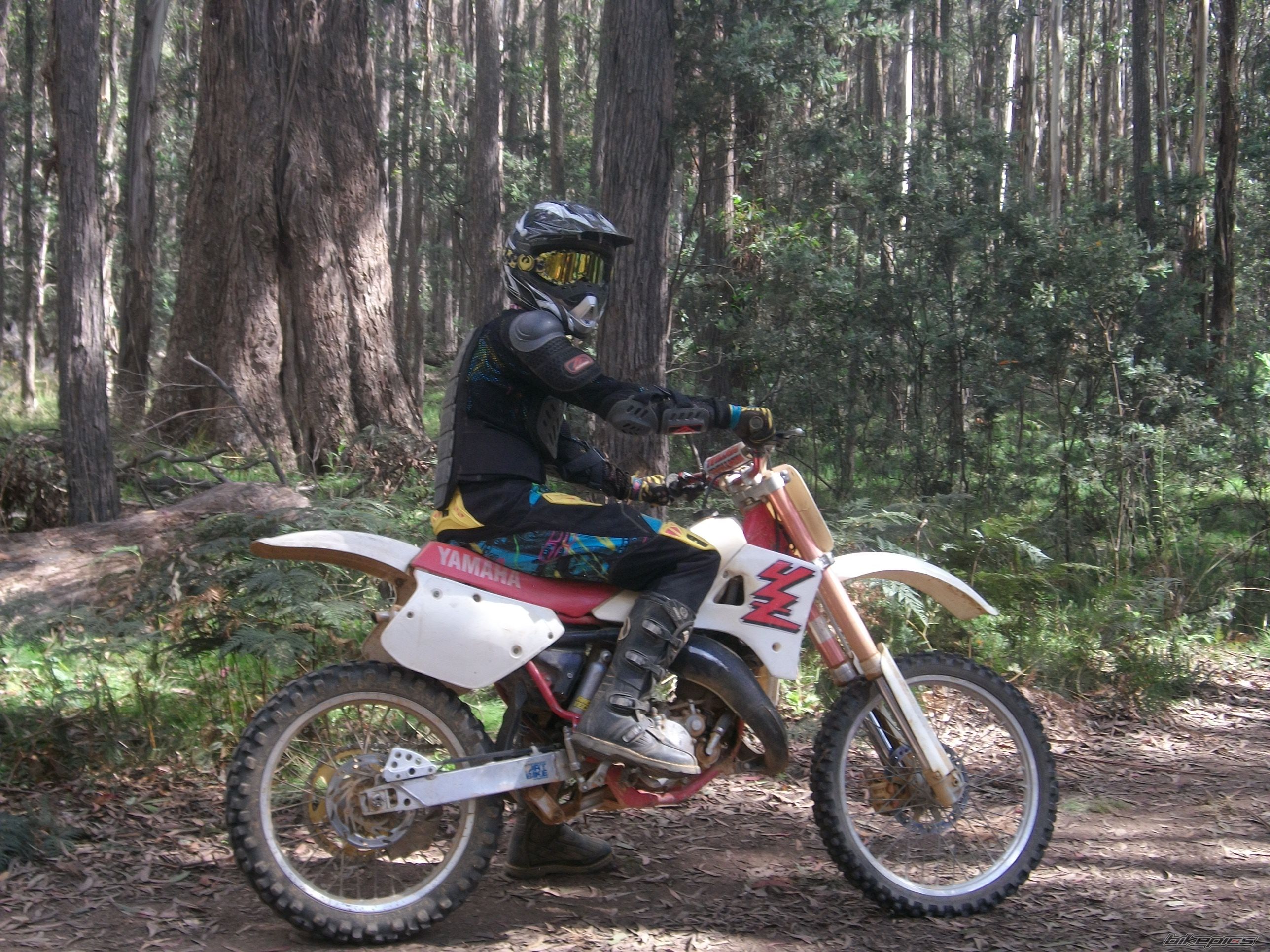 Bike Photo 2220881