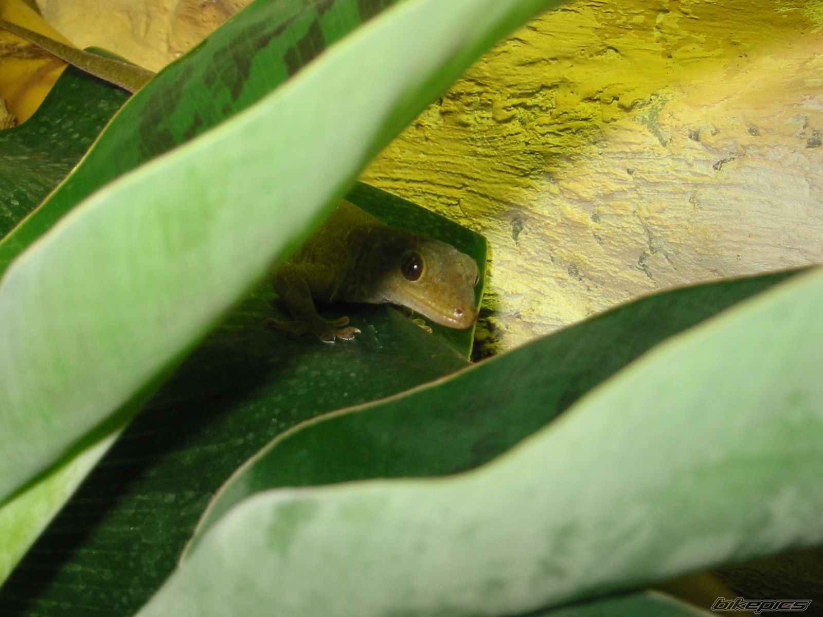 Photo 2221135