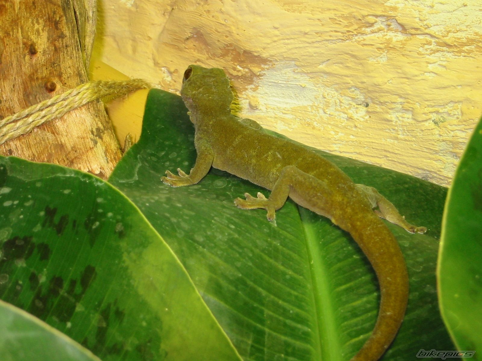 Photo 2221136