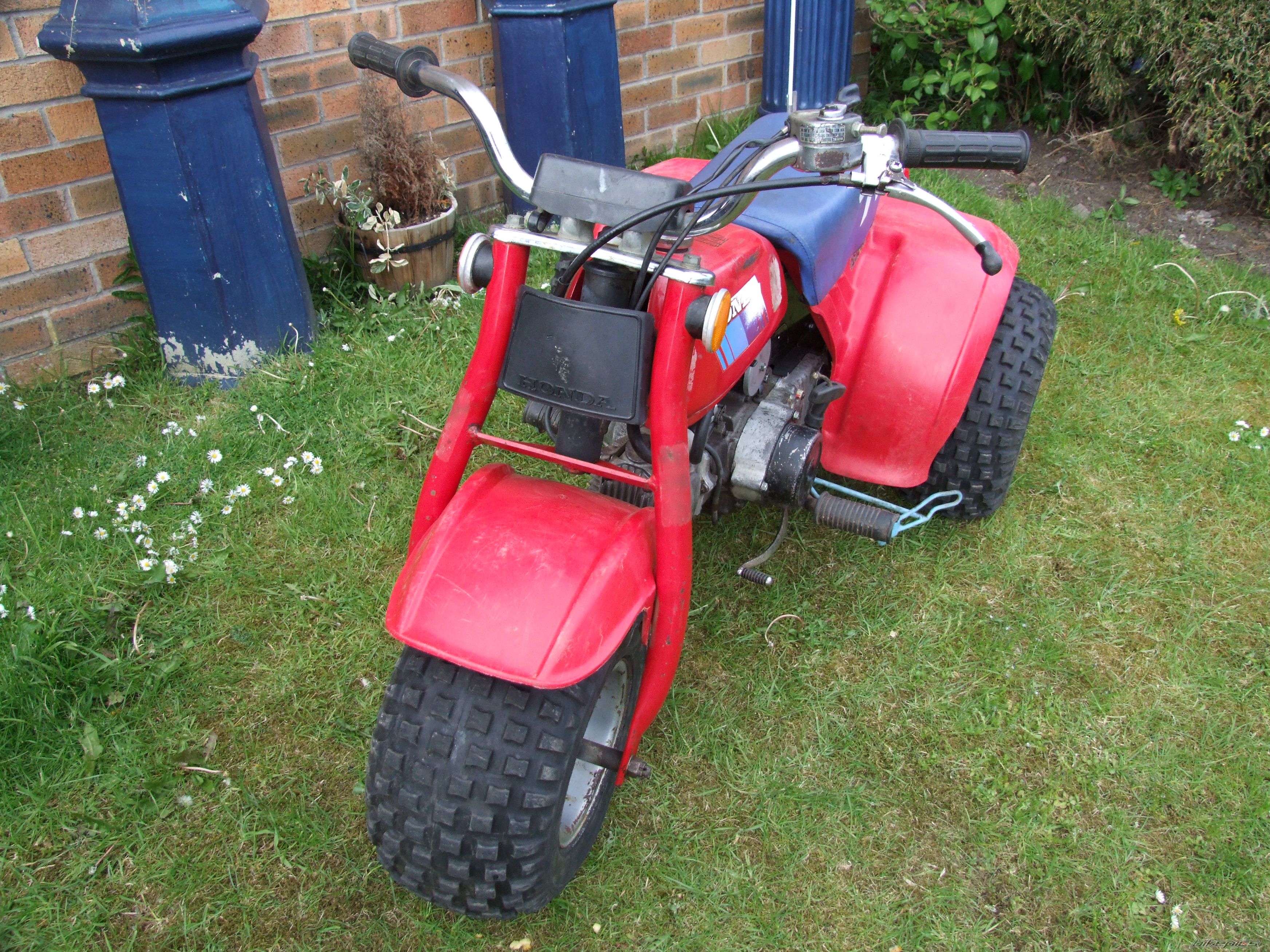 Photo 2221216