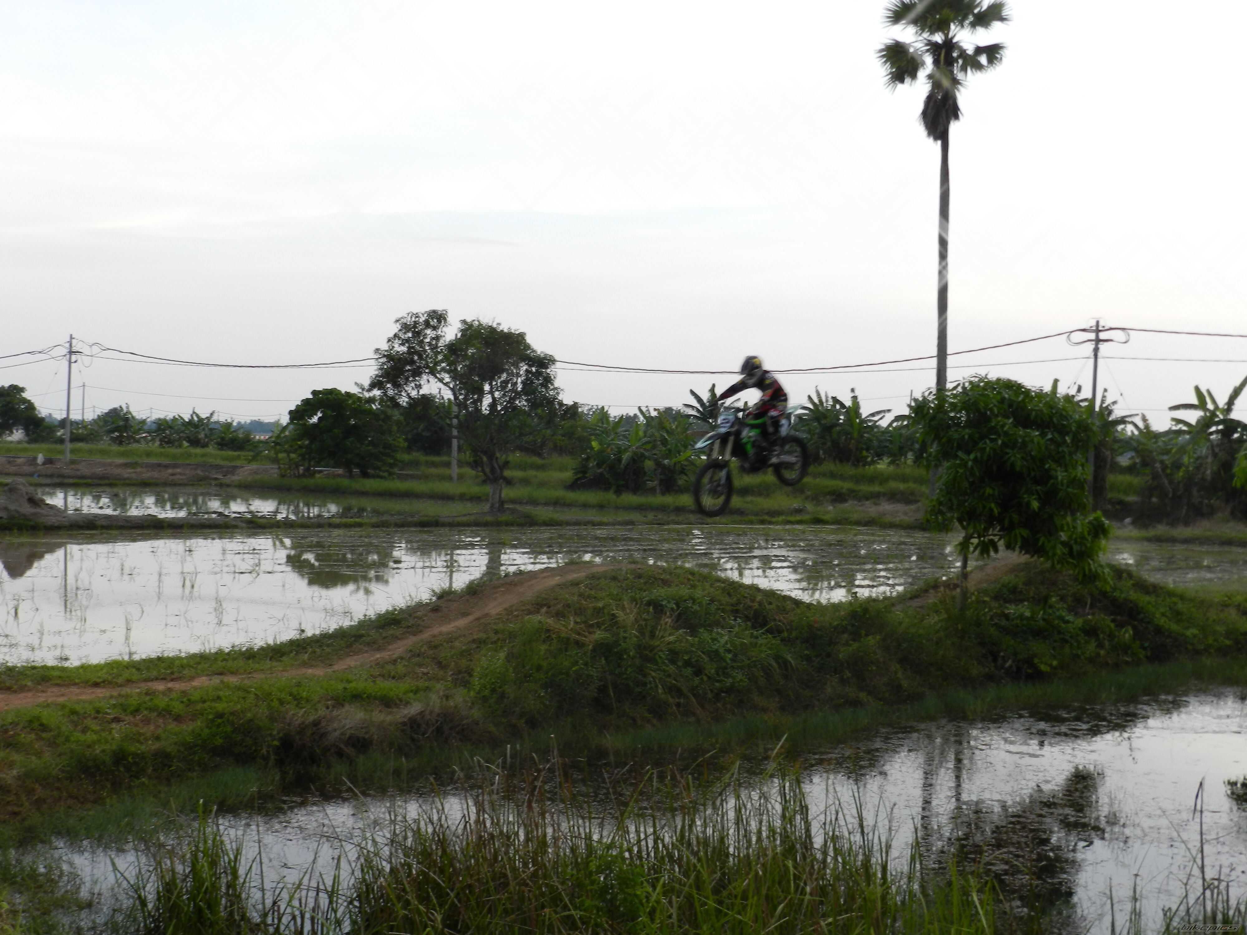 Photo 2221282