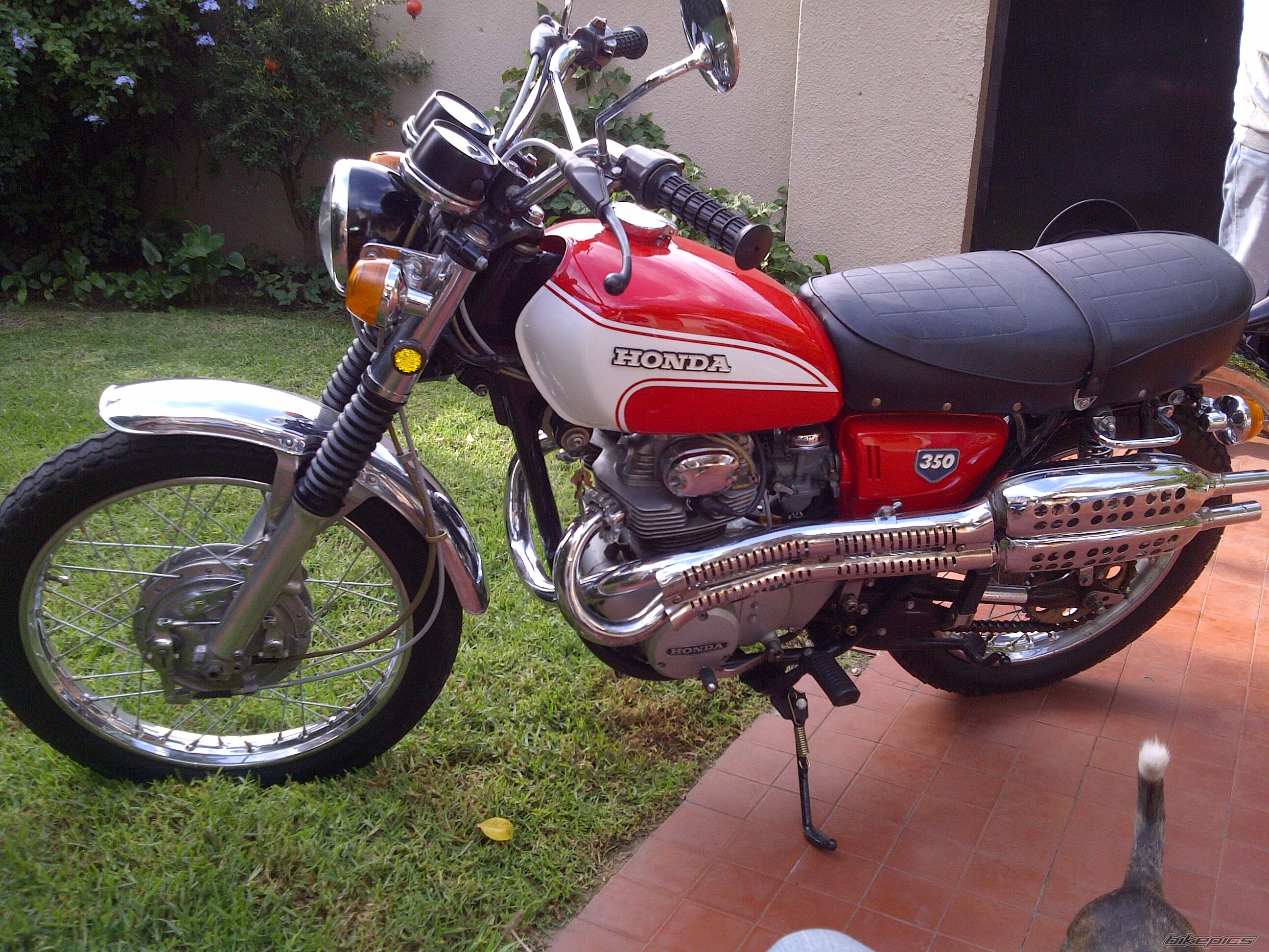 Photo 2221457