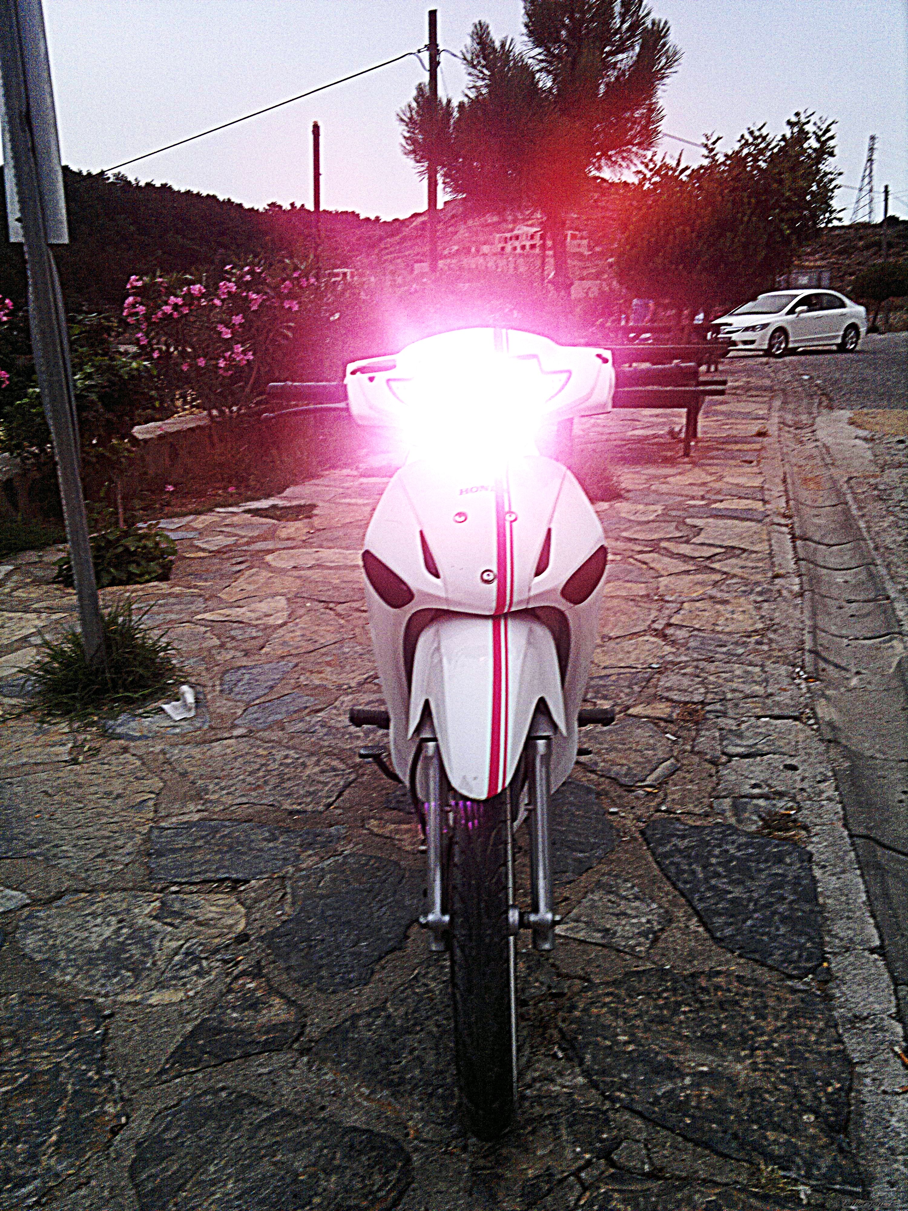 Photo 2221508