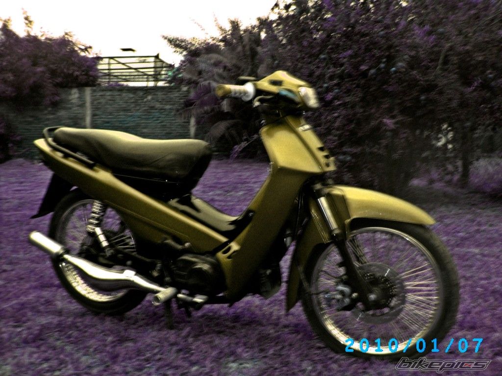 Photo 2221518