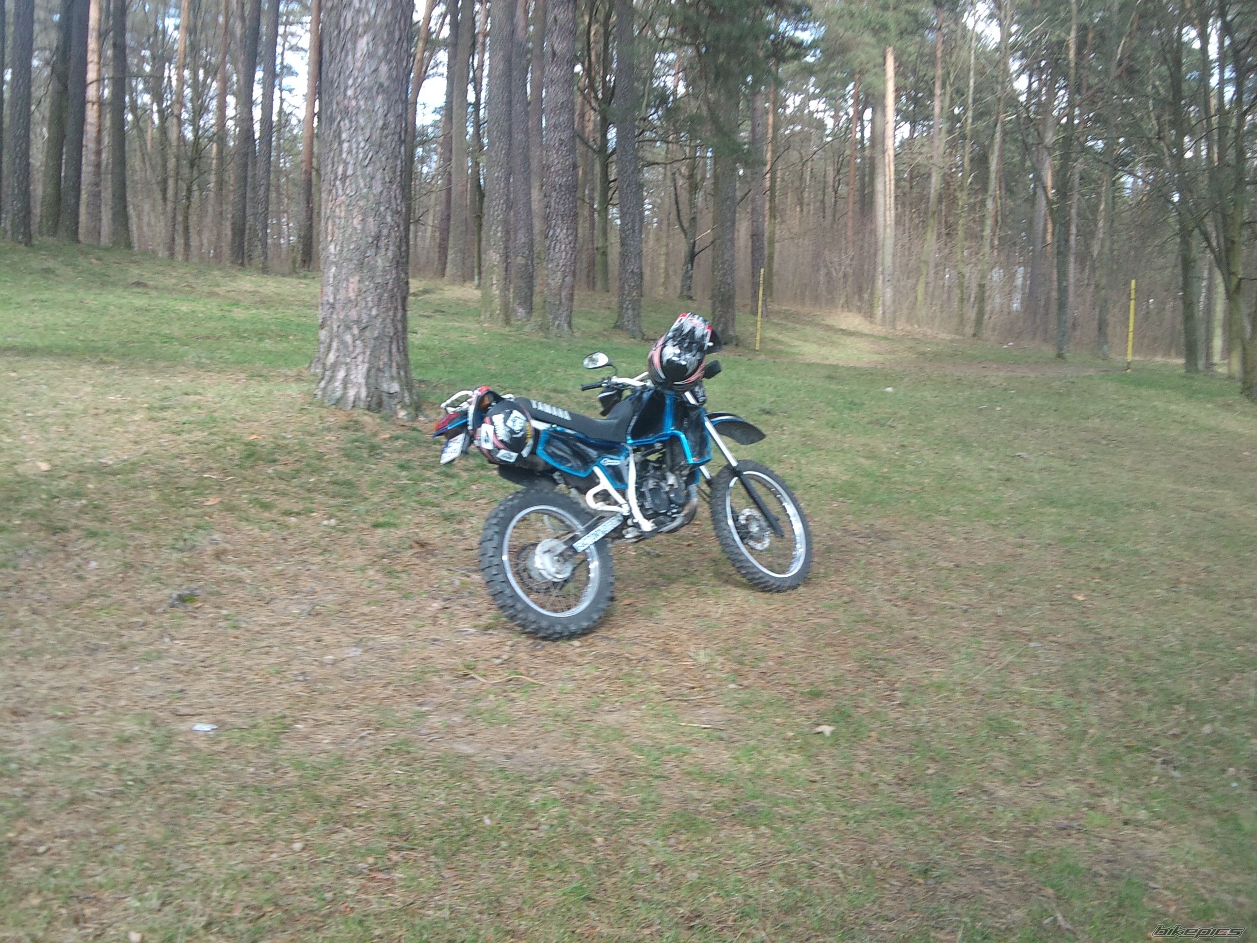 Photo 2221588