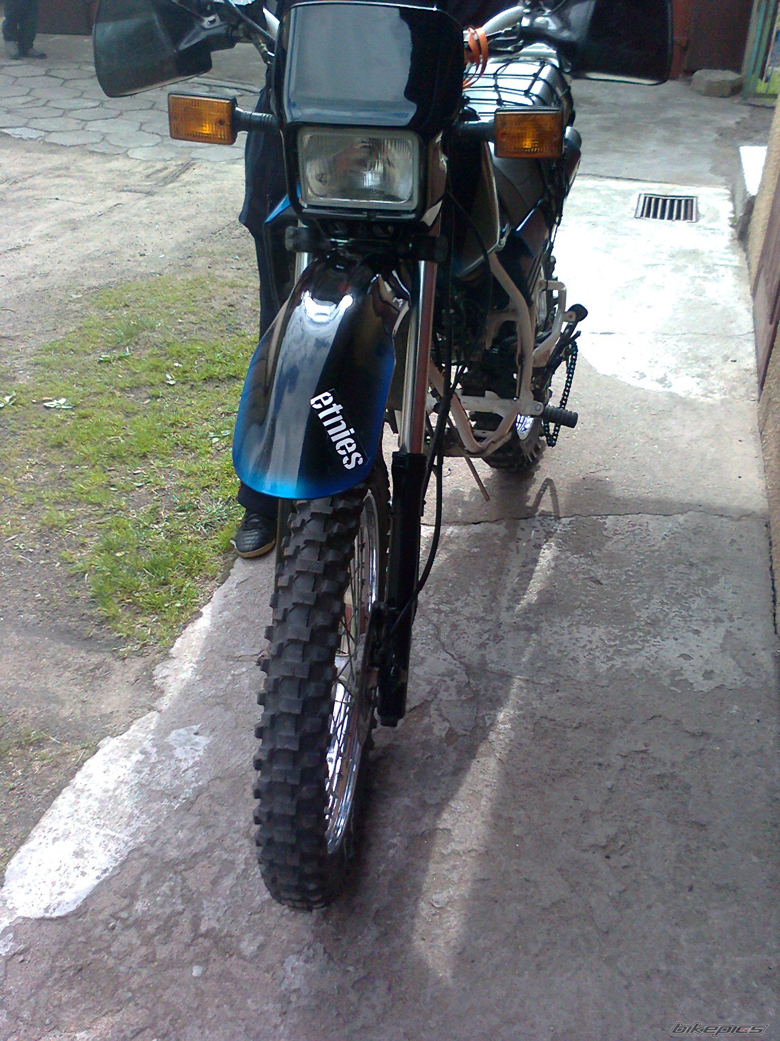 Photo 2221594