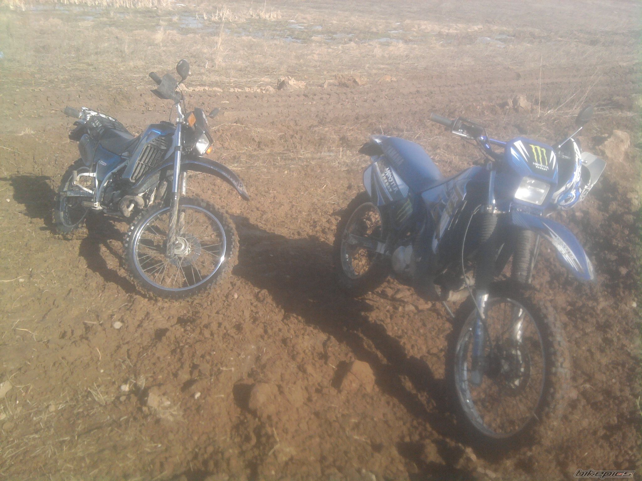 Photo 2221616