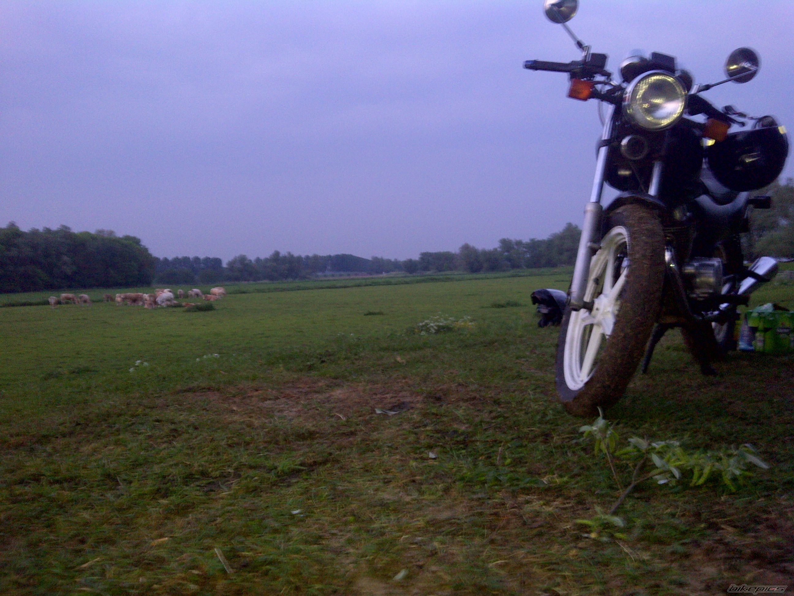 Photo 2221710