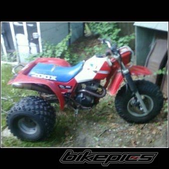 Bike Photo 2222000