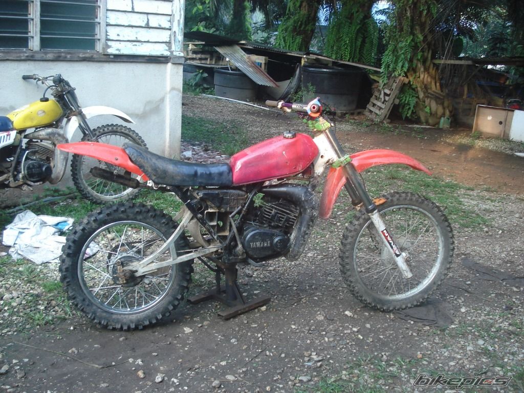 Bike Photo 2222008
