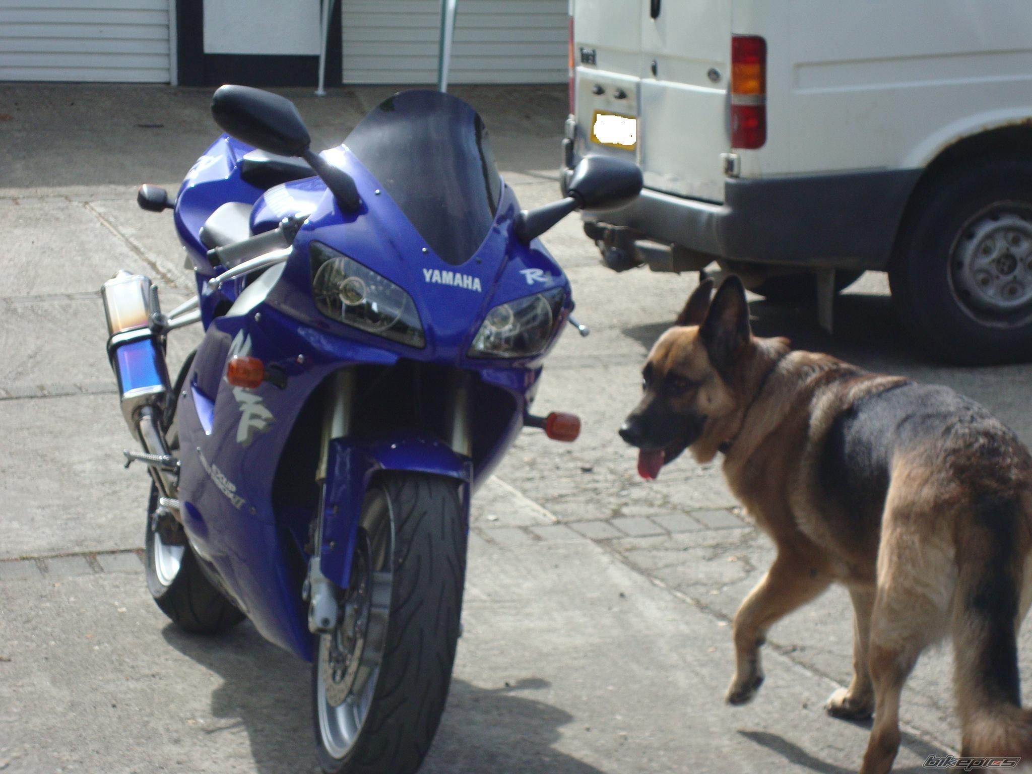 Photo 2222468