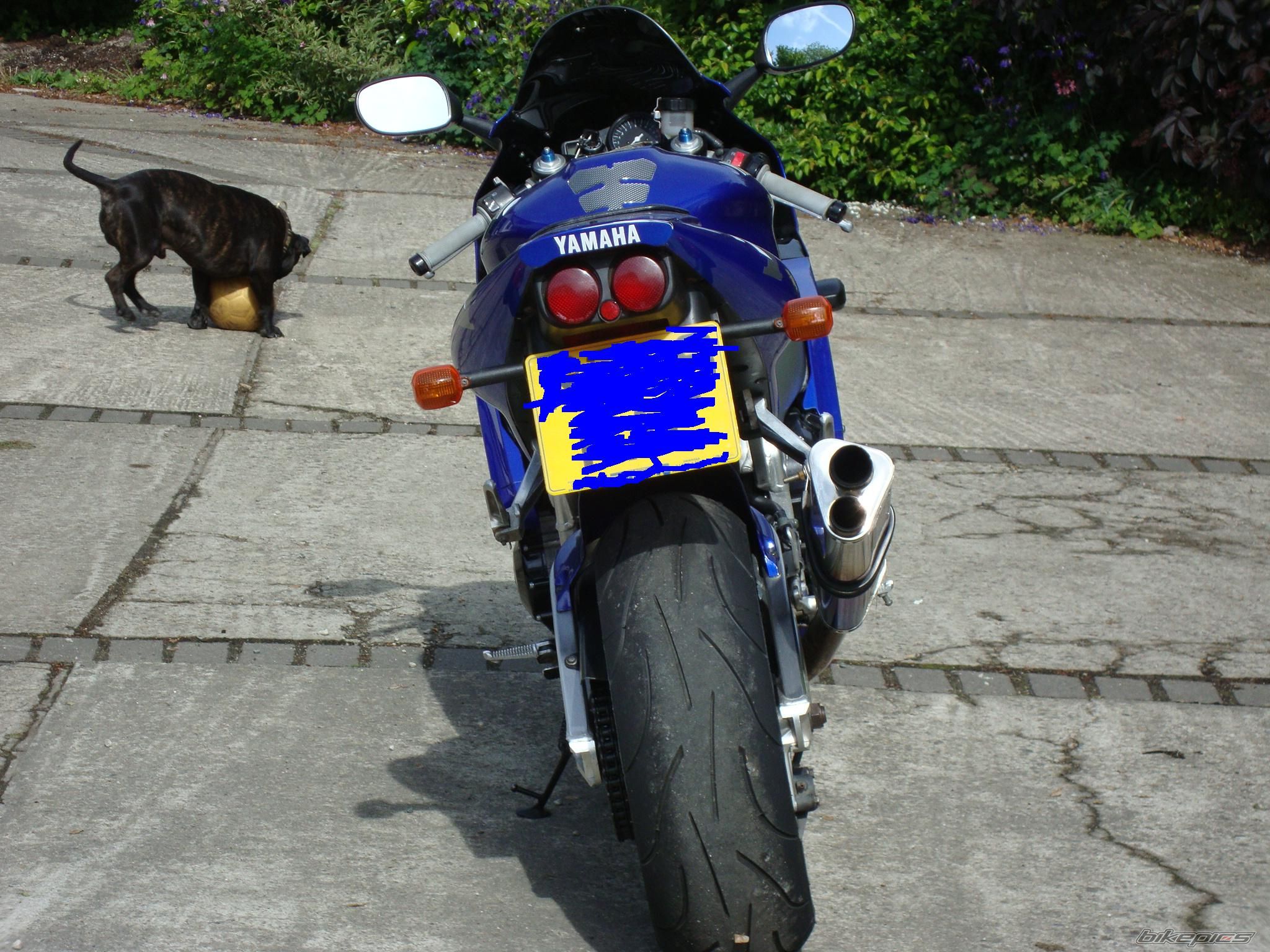Photo 2222472
