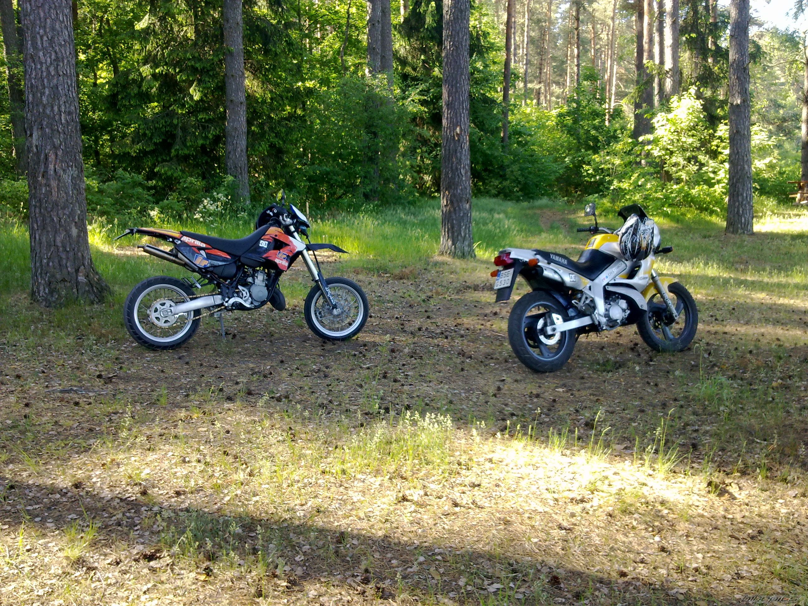 Photo 2222481