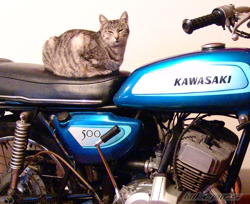 Photo 2222594