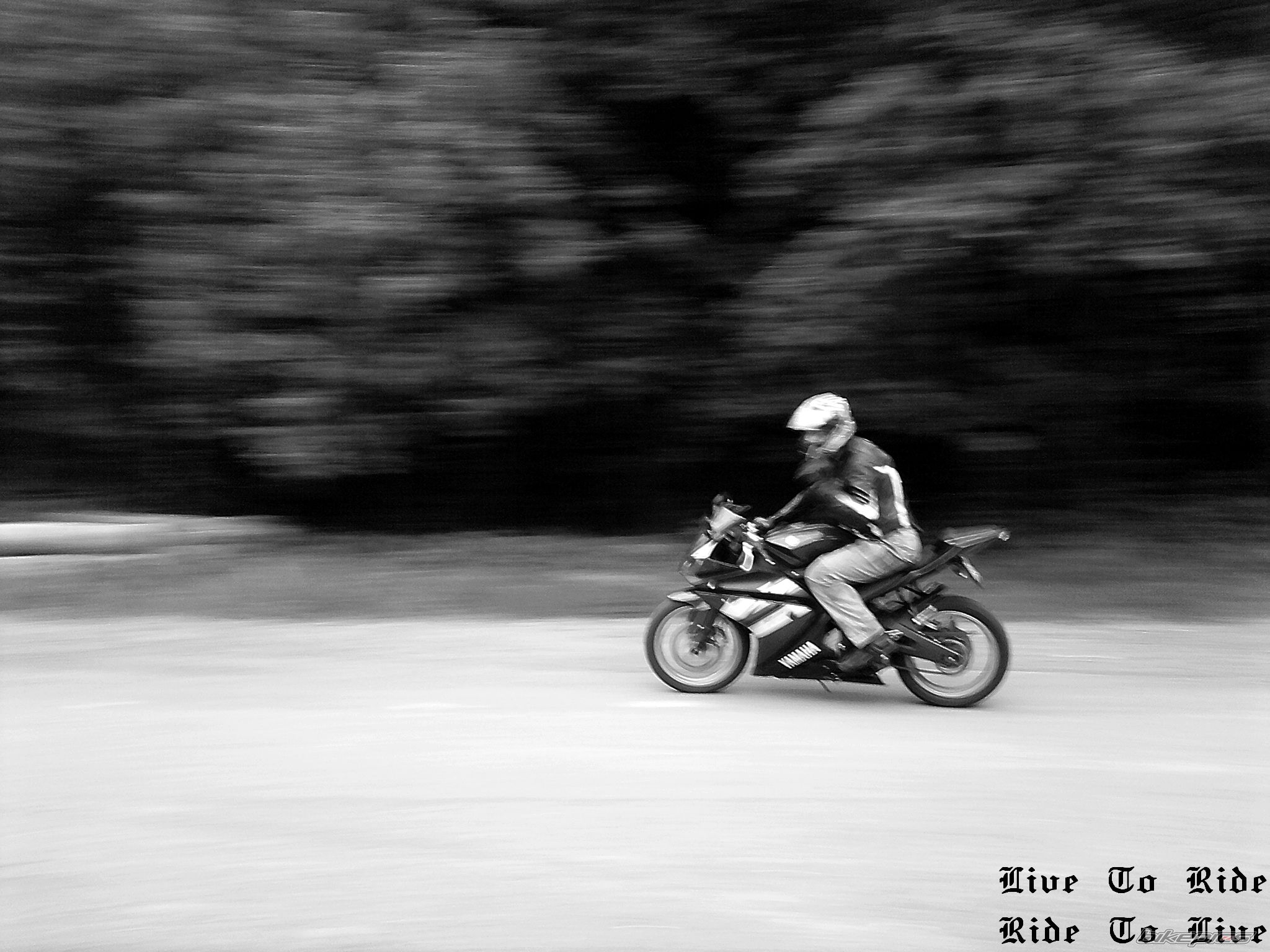 Photo 2222683