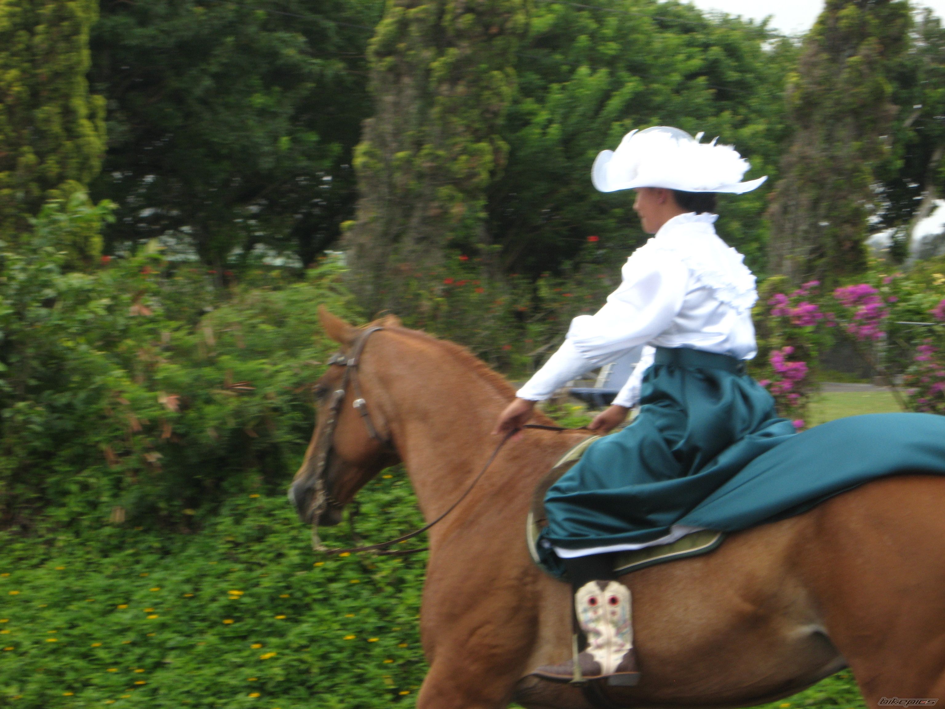 Photo 2222945