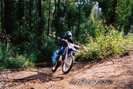 Photo 222310