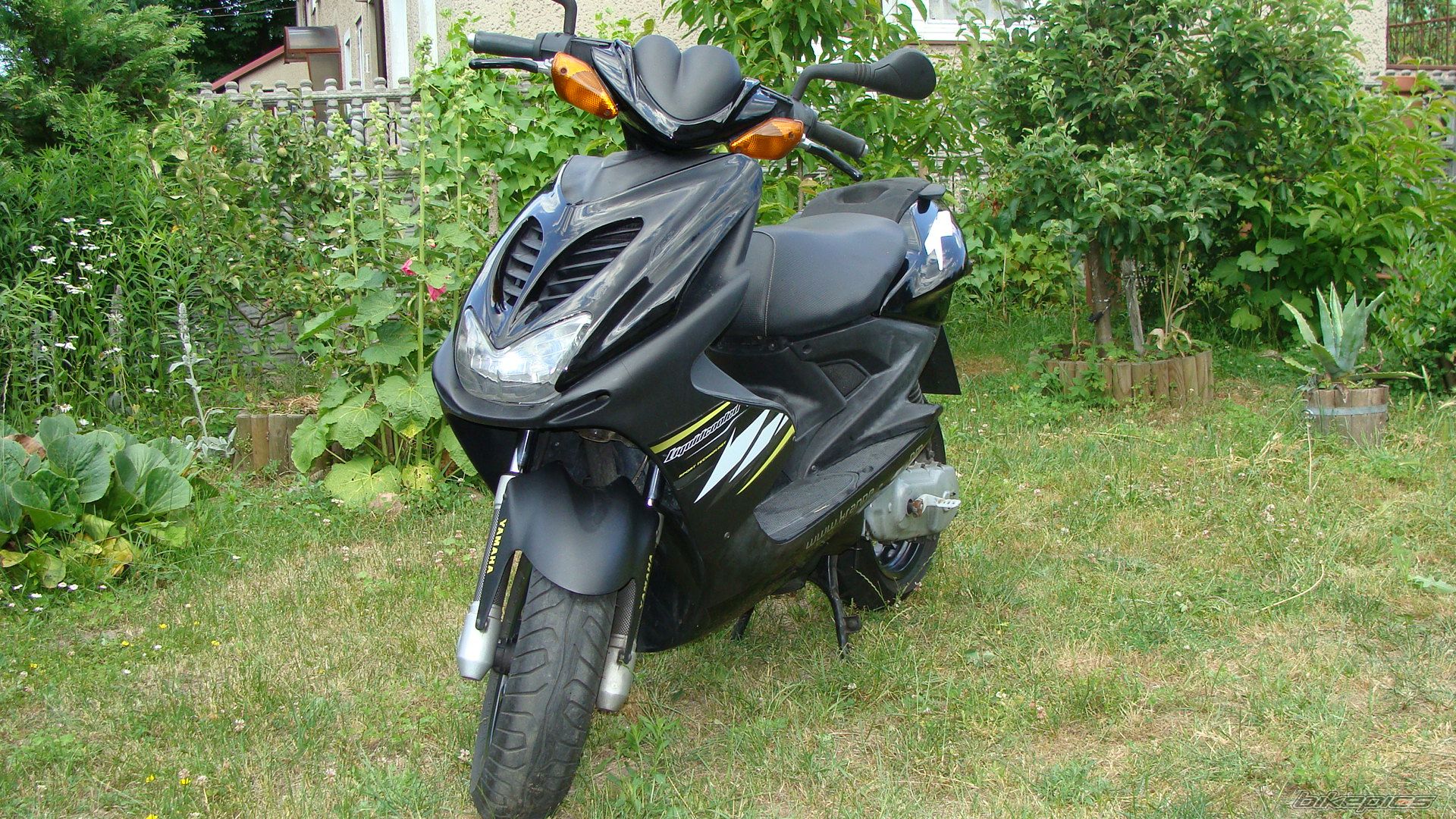 Photo 2223287