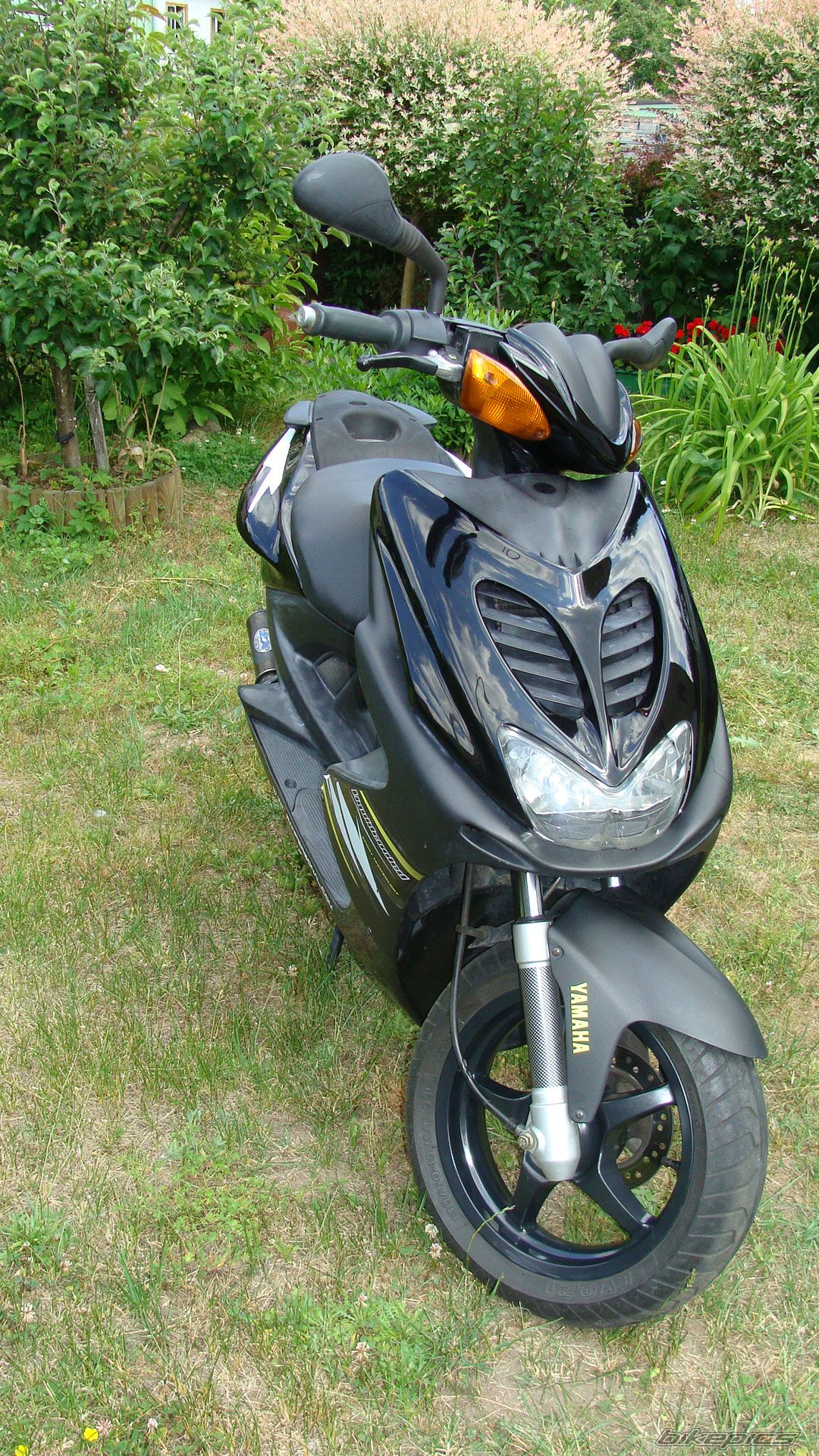 Photo 2223291