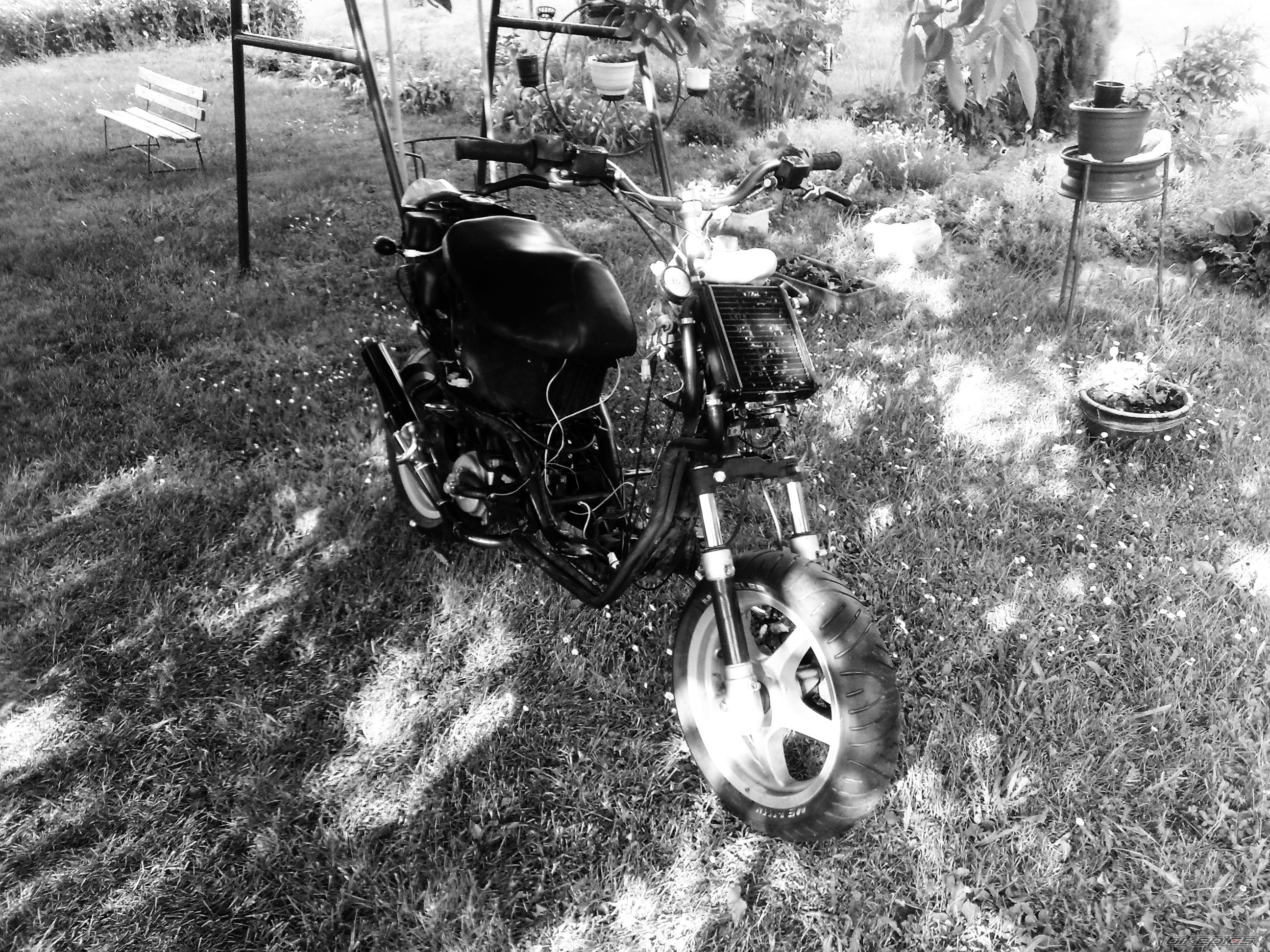 Photo 2223351