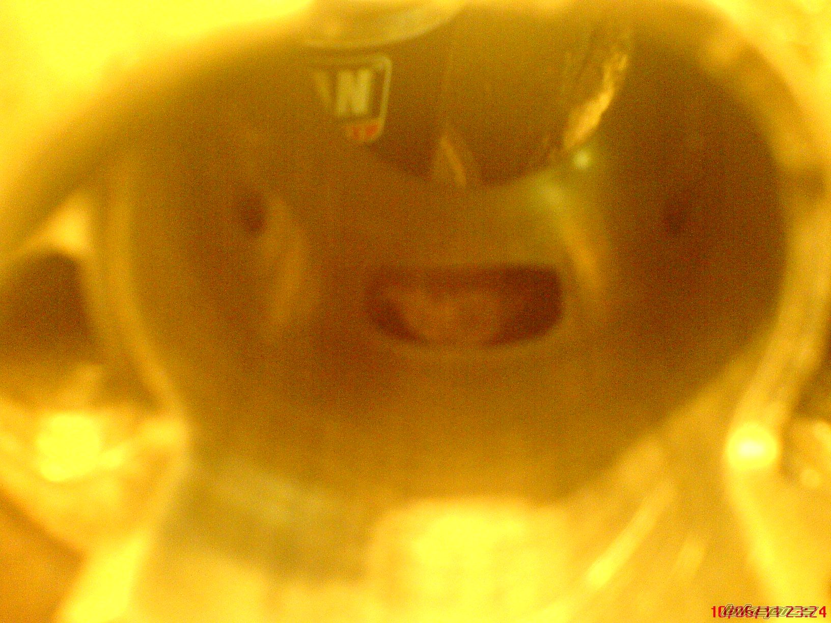 Photo 2223464
