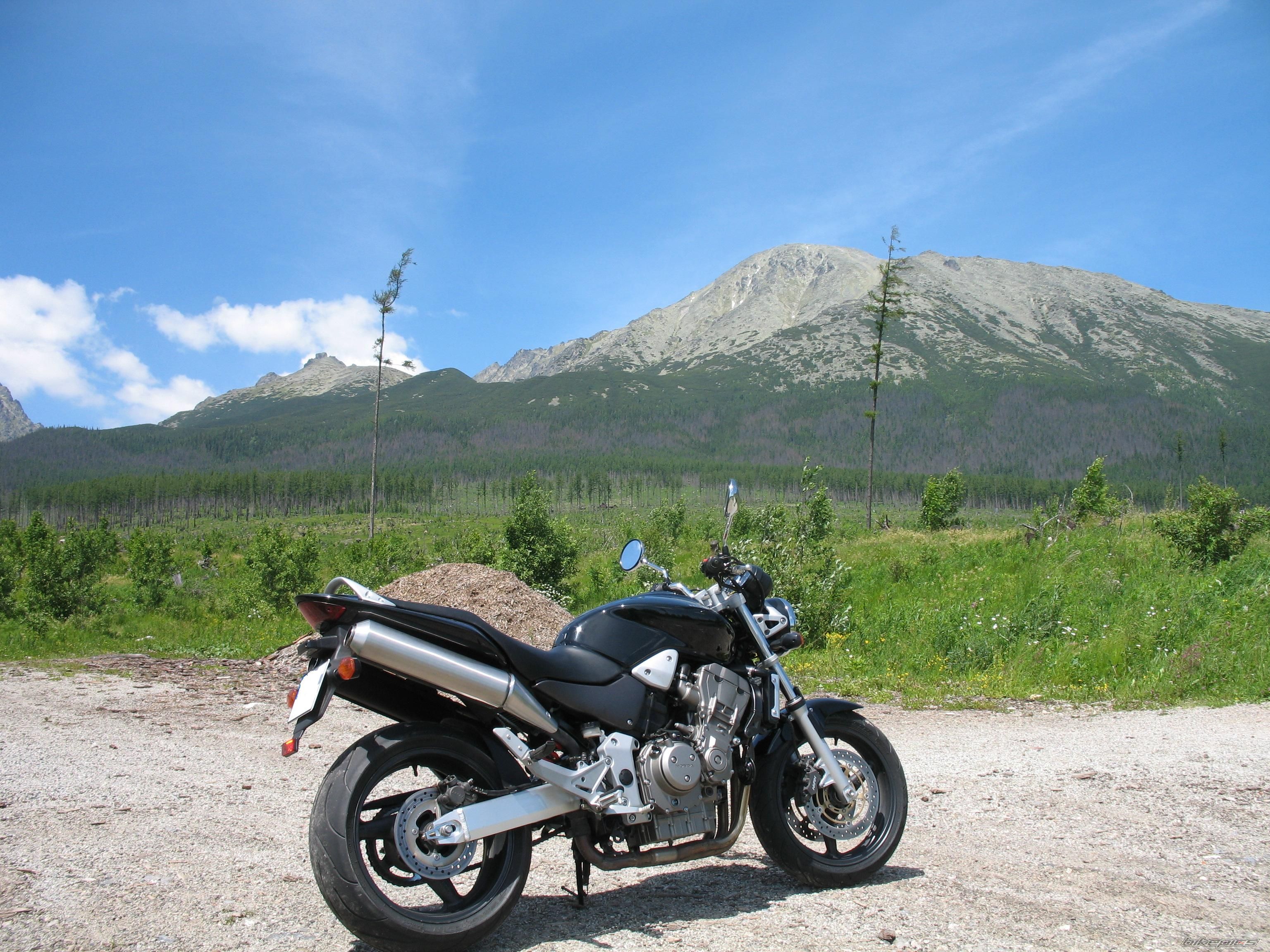 Photo 2223469