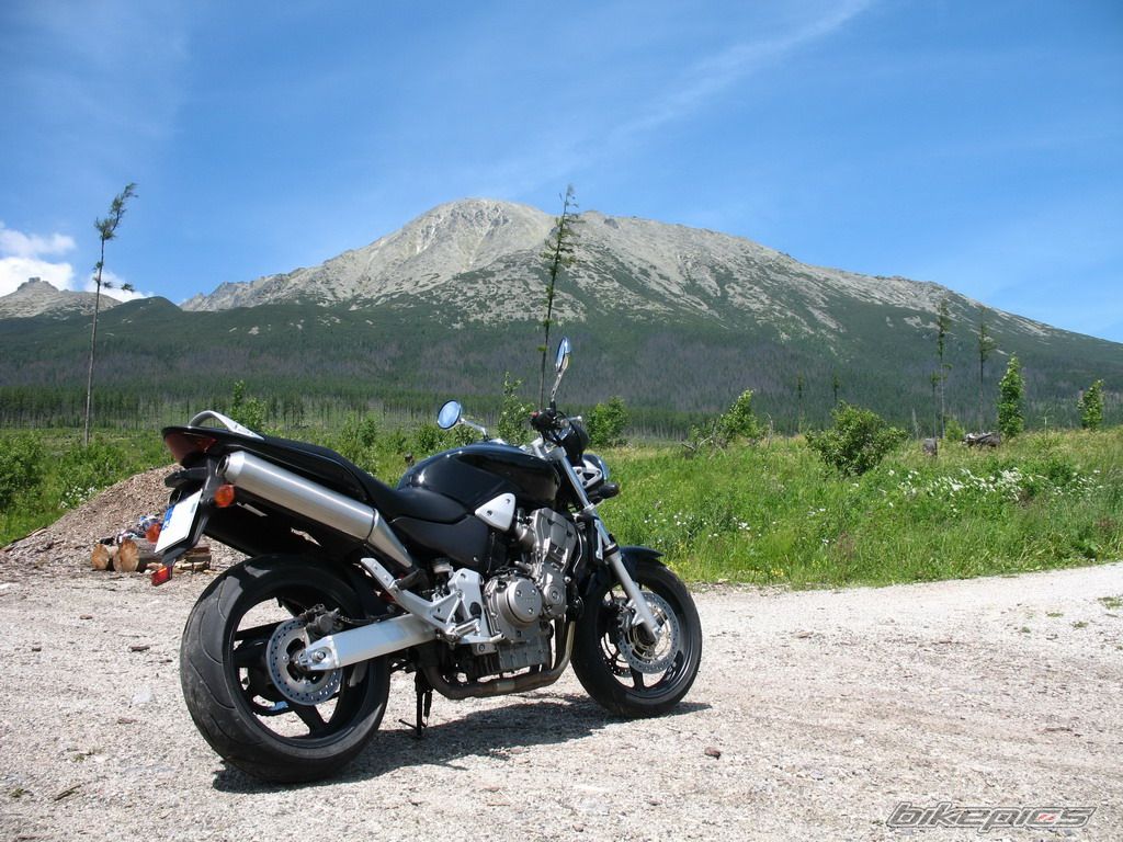 Photo 2223476