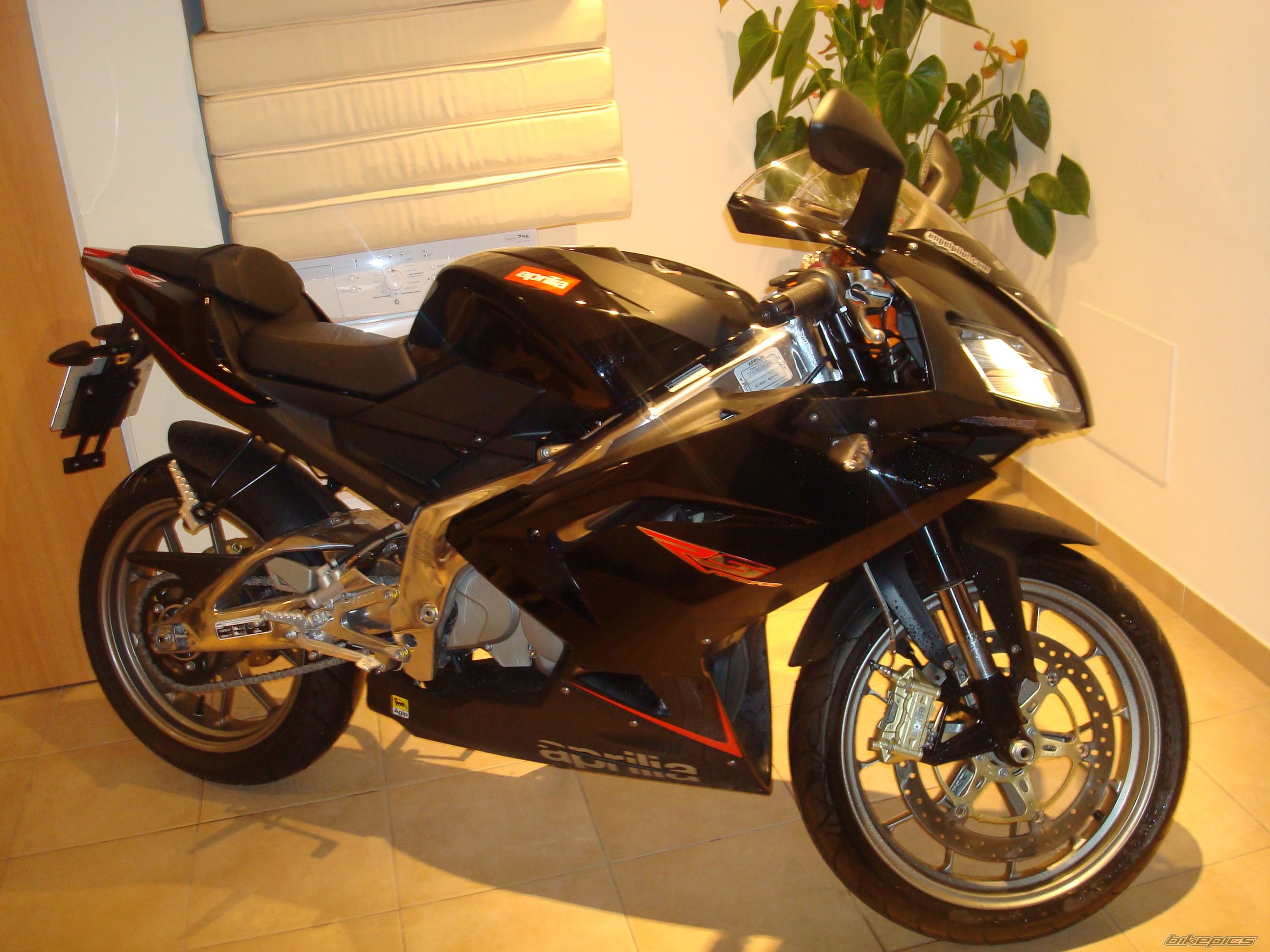 Photo 2223526