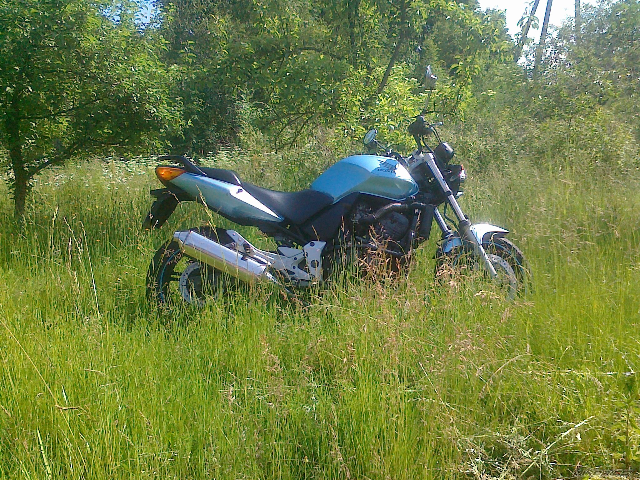Photo 2223615