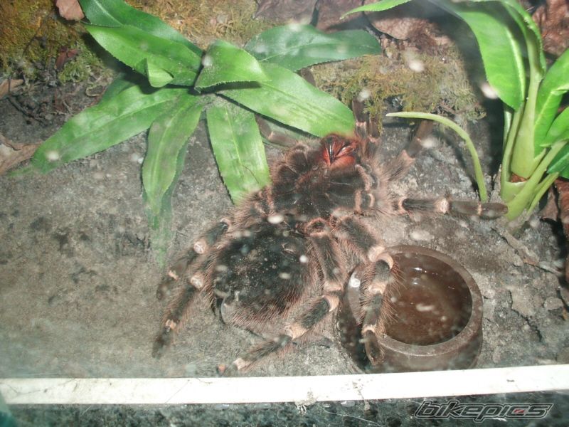 Photo 2223756