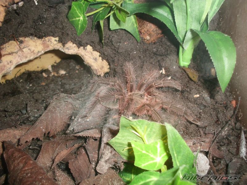 Photo 2223759