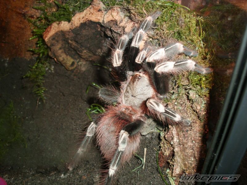 Photo 2223761