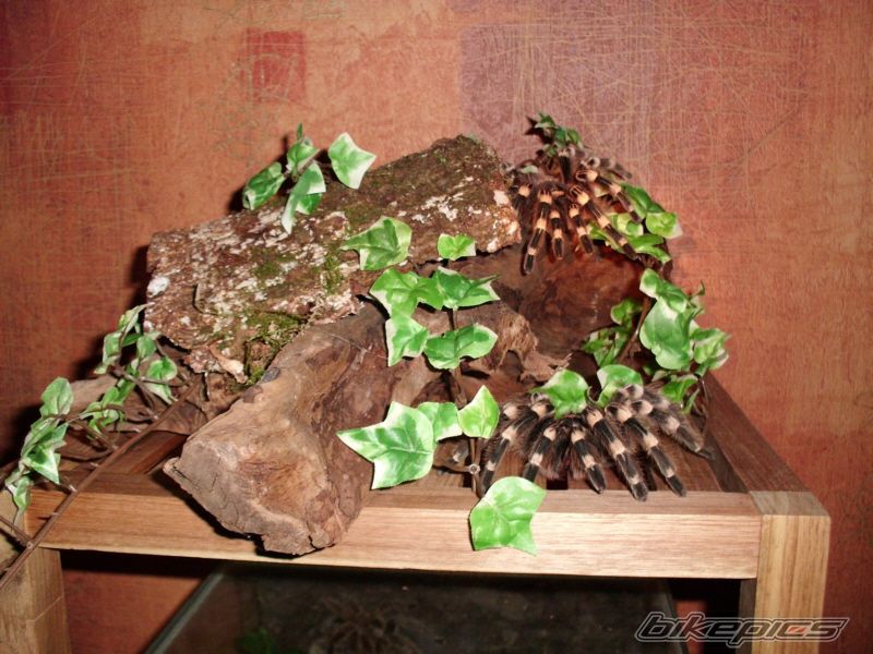 Photo 2223764