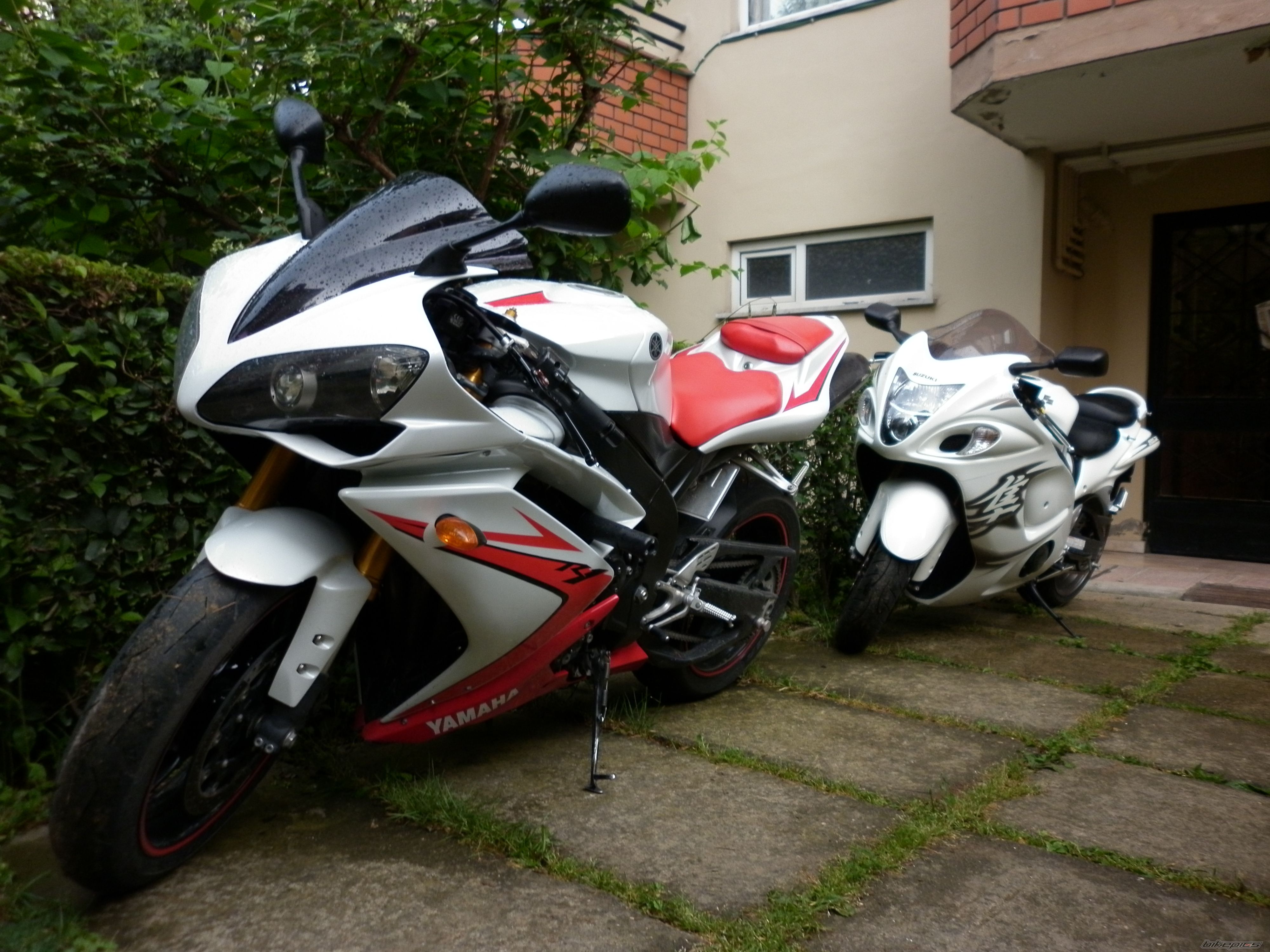Photo 2223779