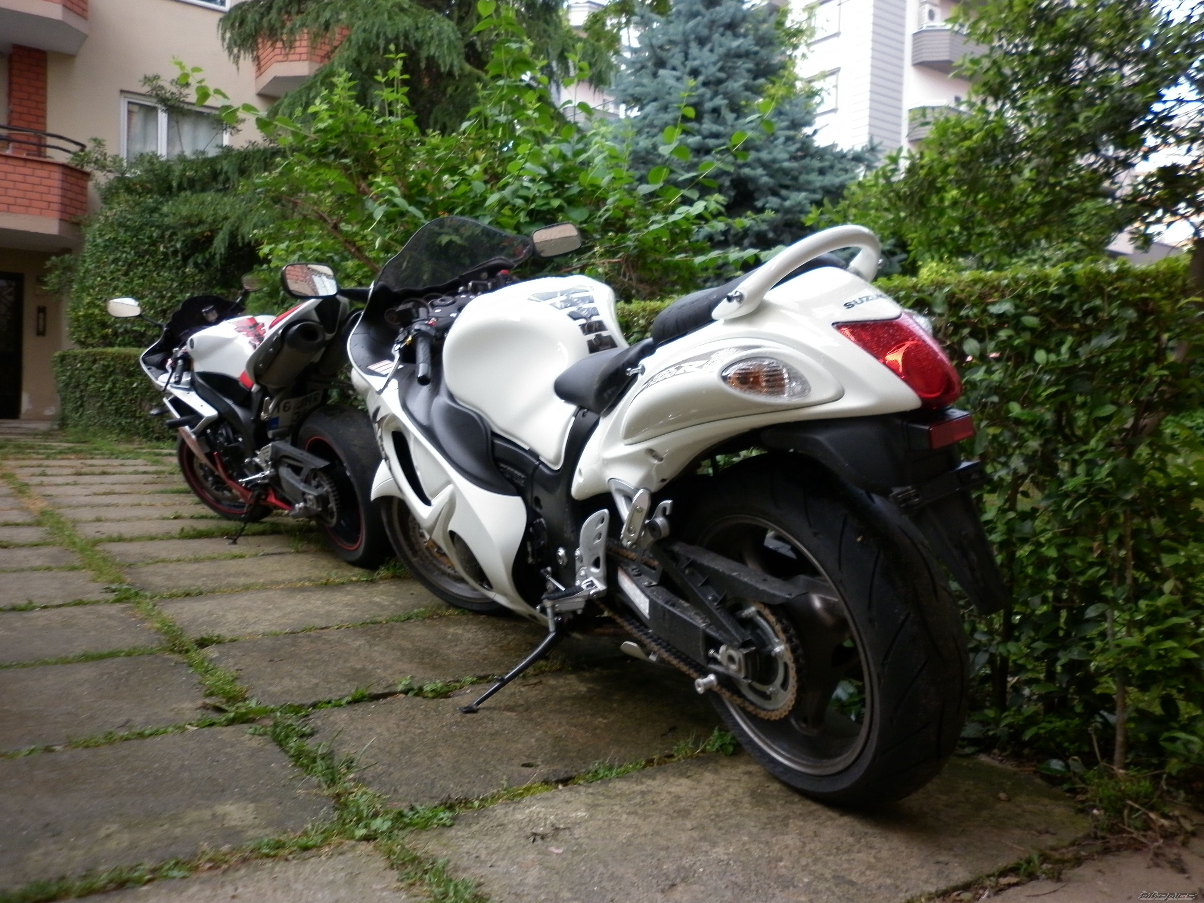 Photo 2223781