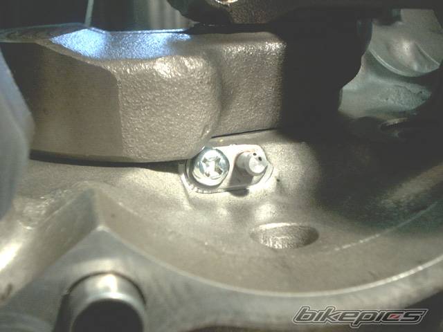 Photo 222386
