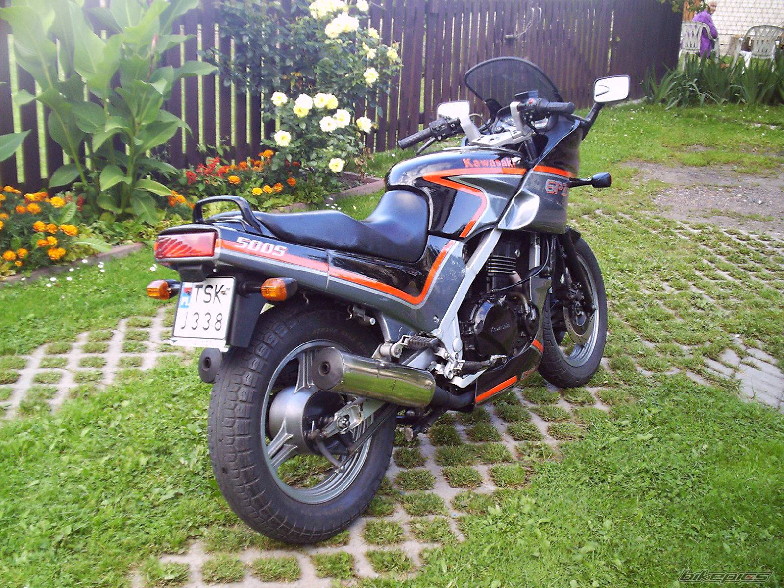 Photo 222391