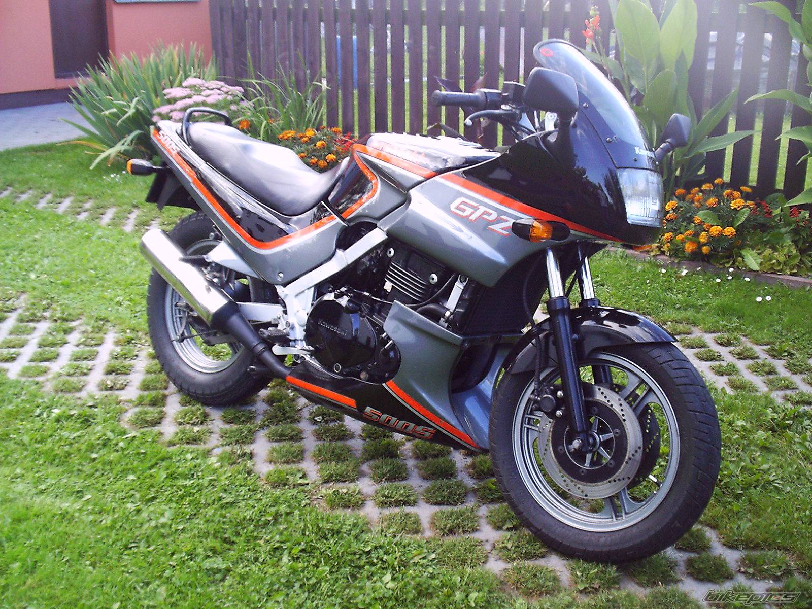 Photo 222393