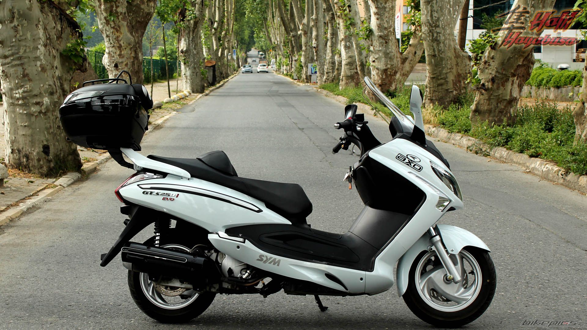 Bike Photo 2224026