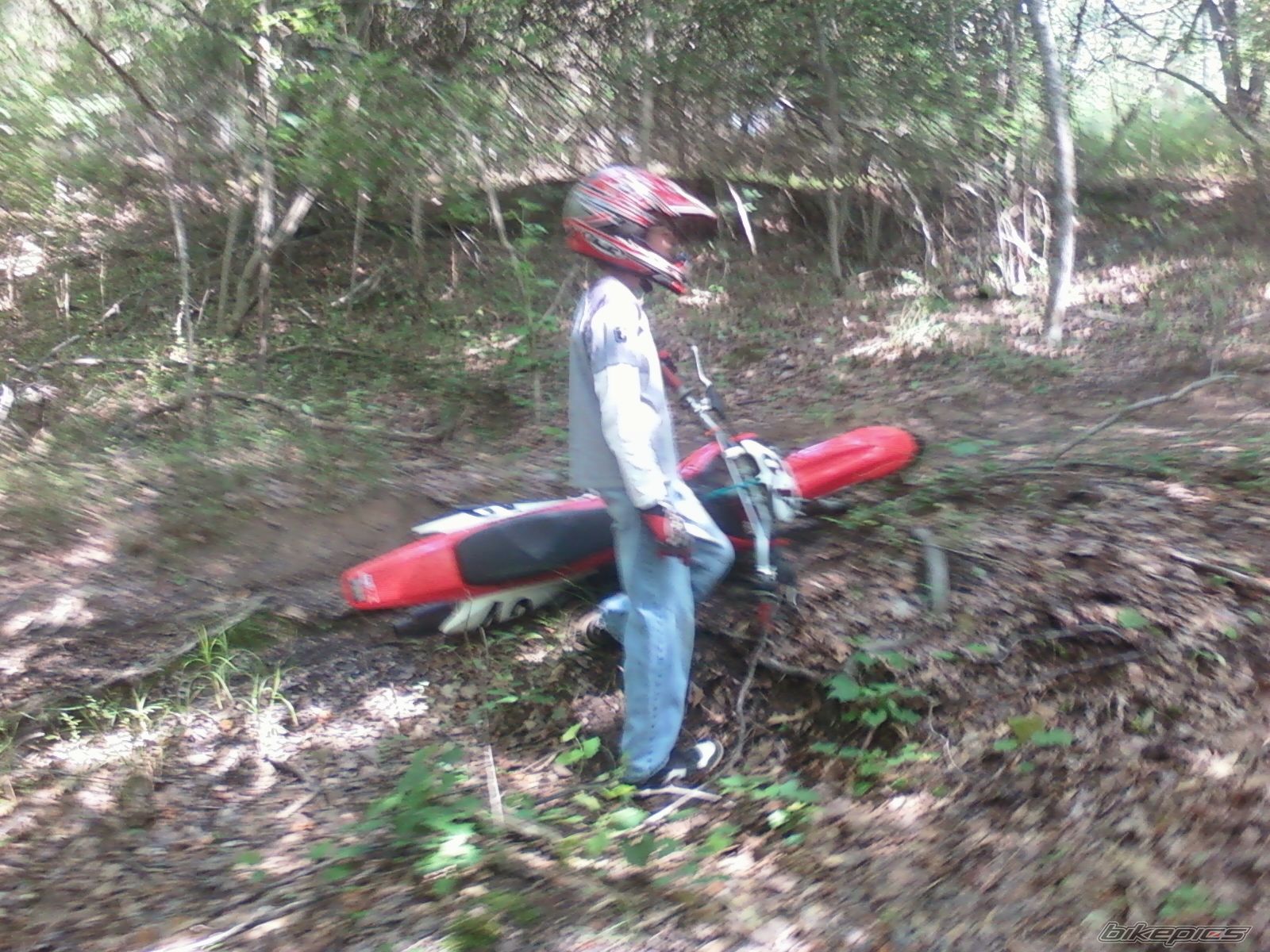 Photo 2224334