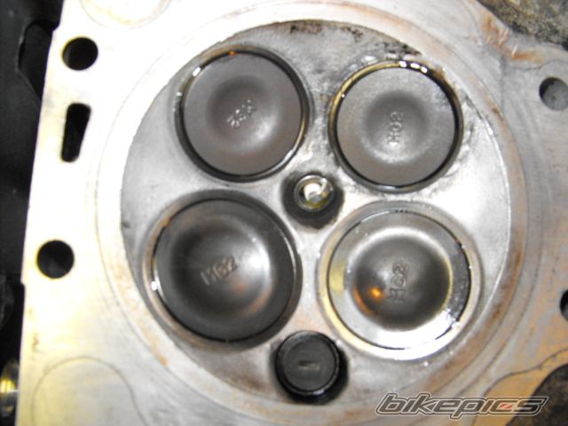 Photo 2224373